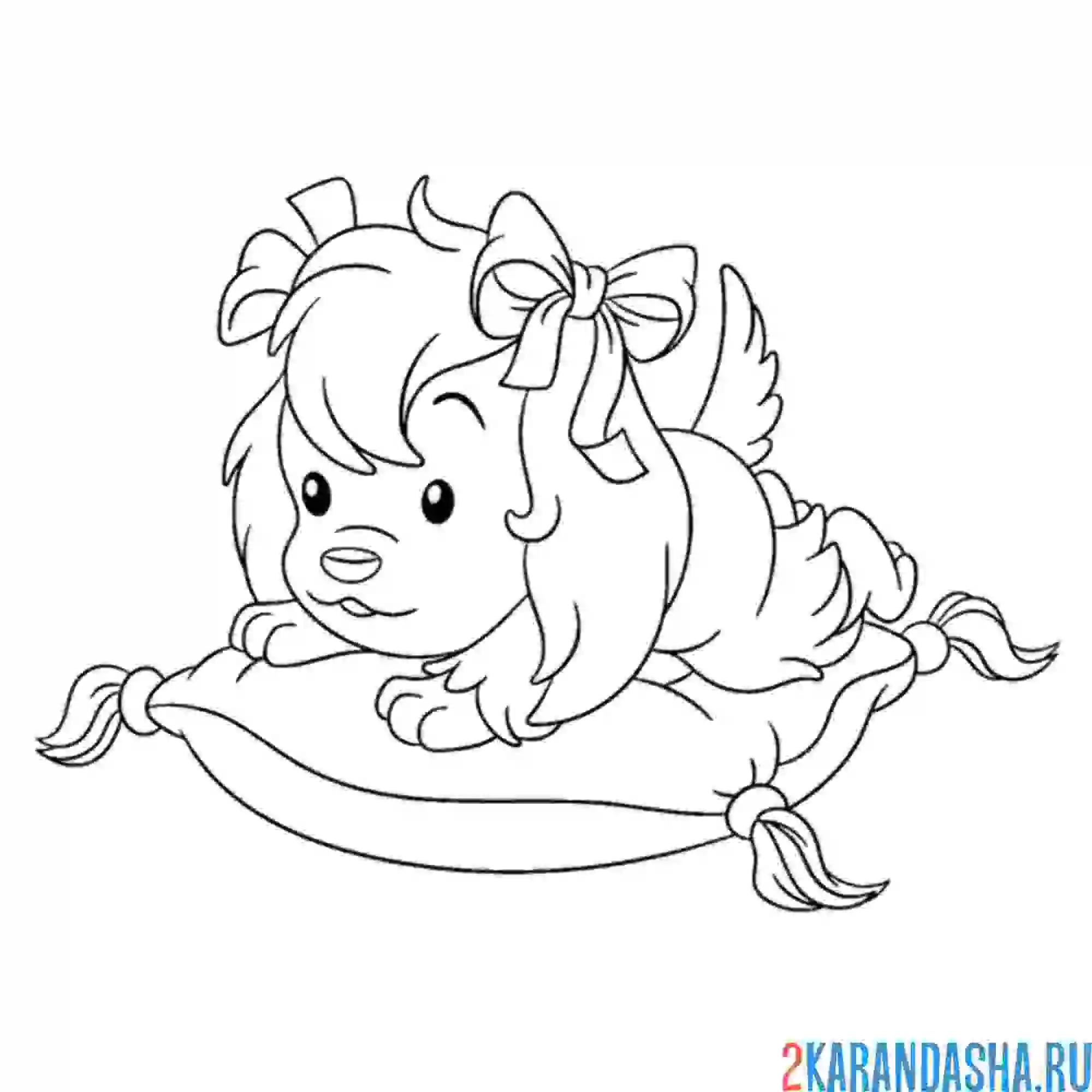 Раскраска домашняя собачка на подушке