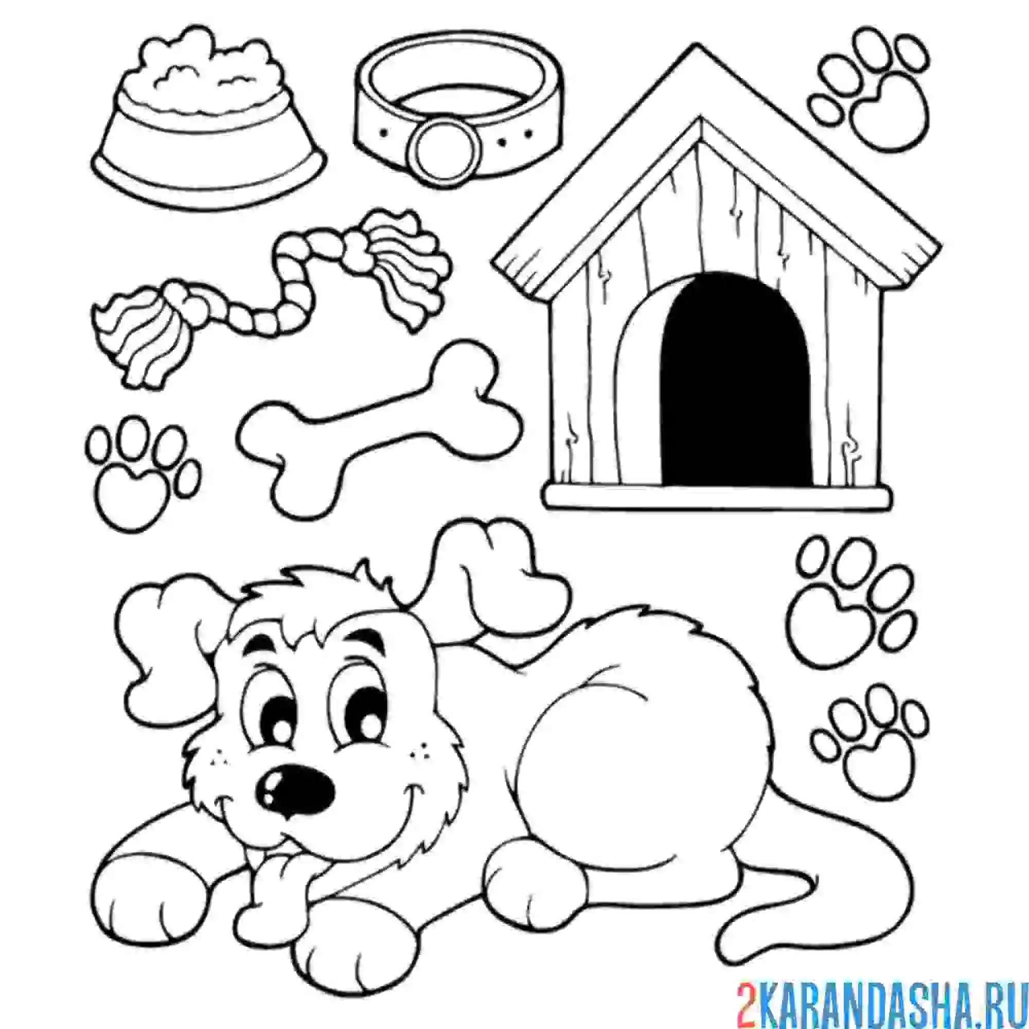 Раскраска атрибутика собаки