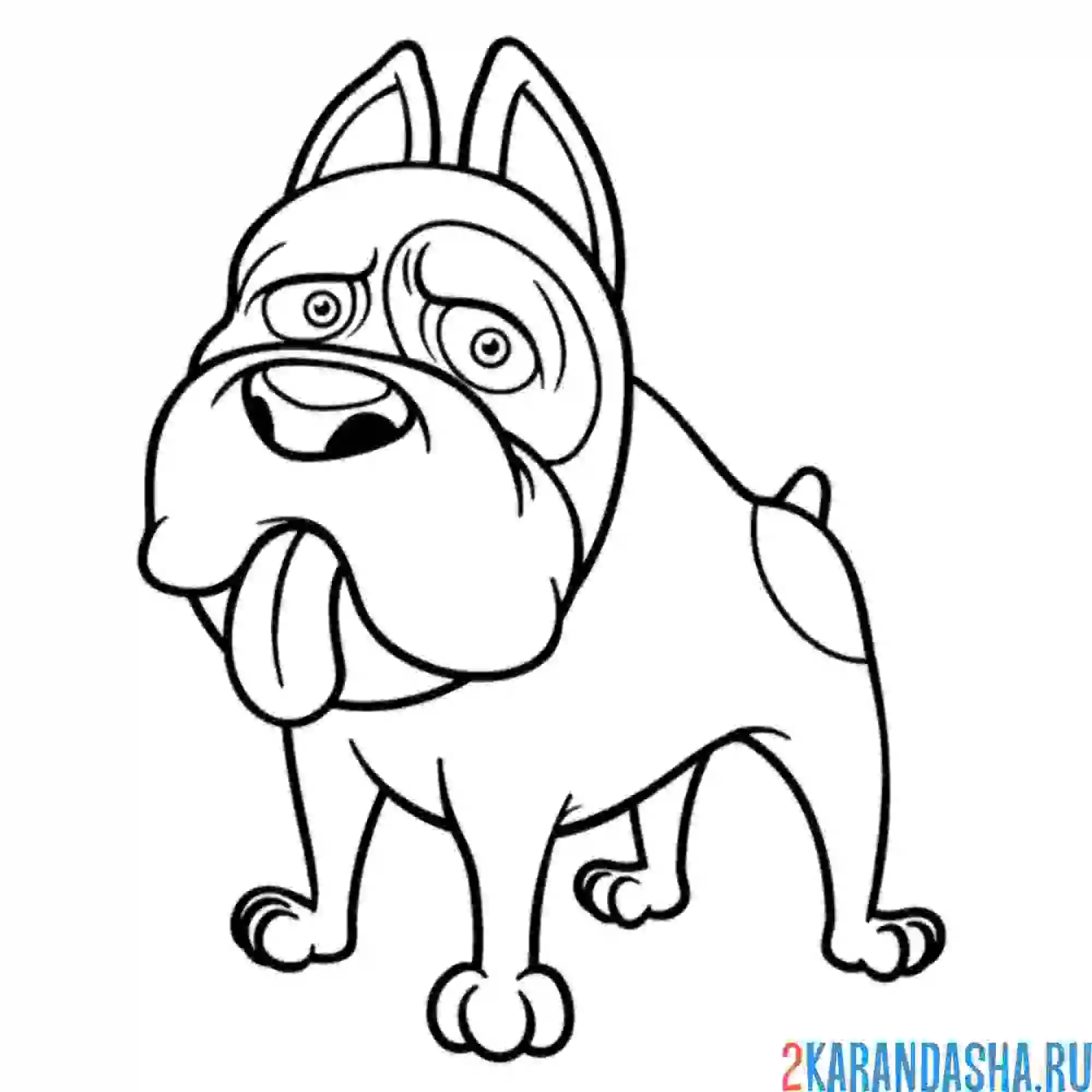 Раскраска большой пес собака