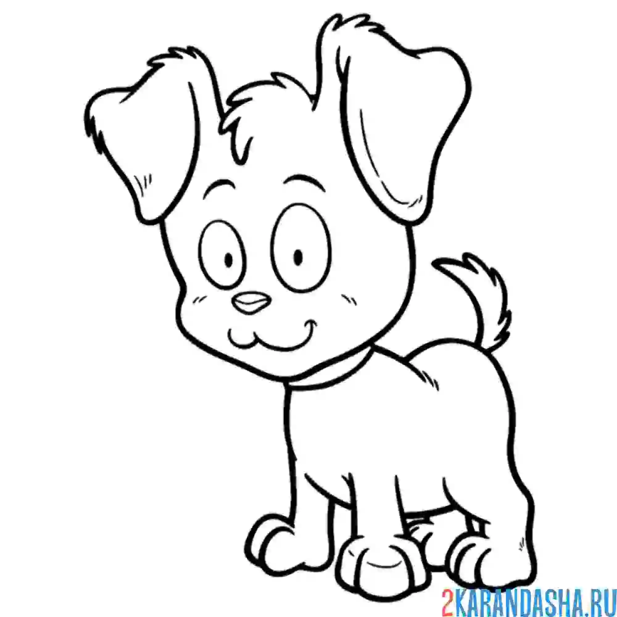 Раскраска мальчишка собака