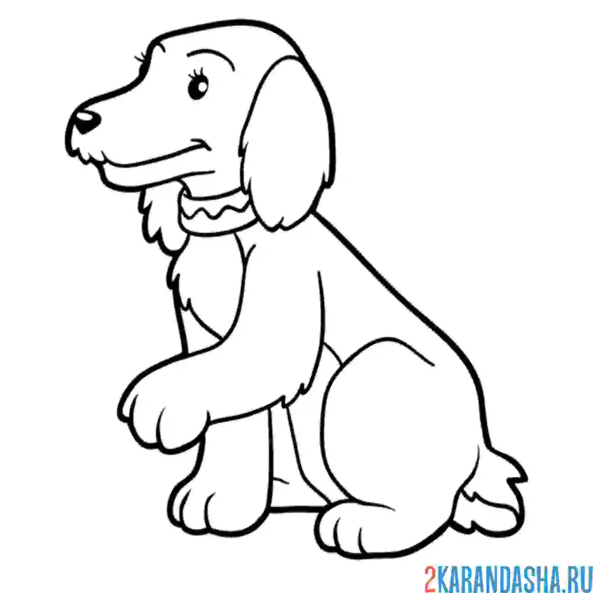Раскраска собака дает лапу