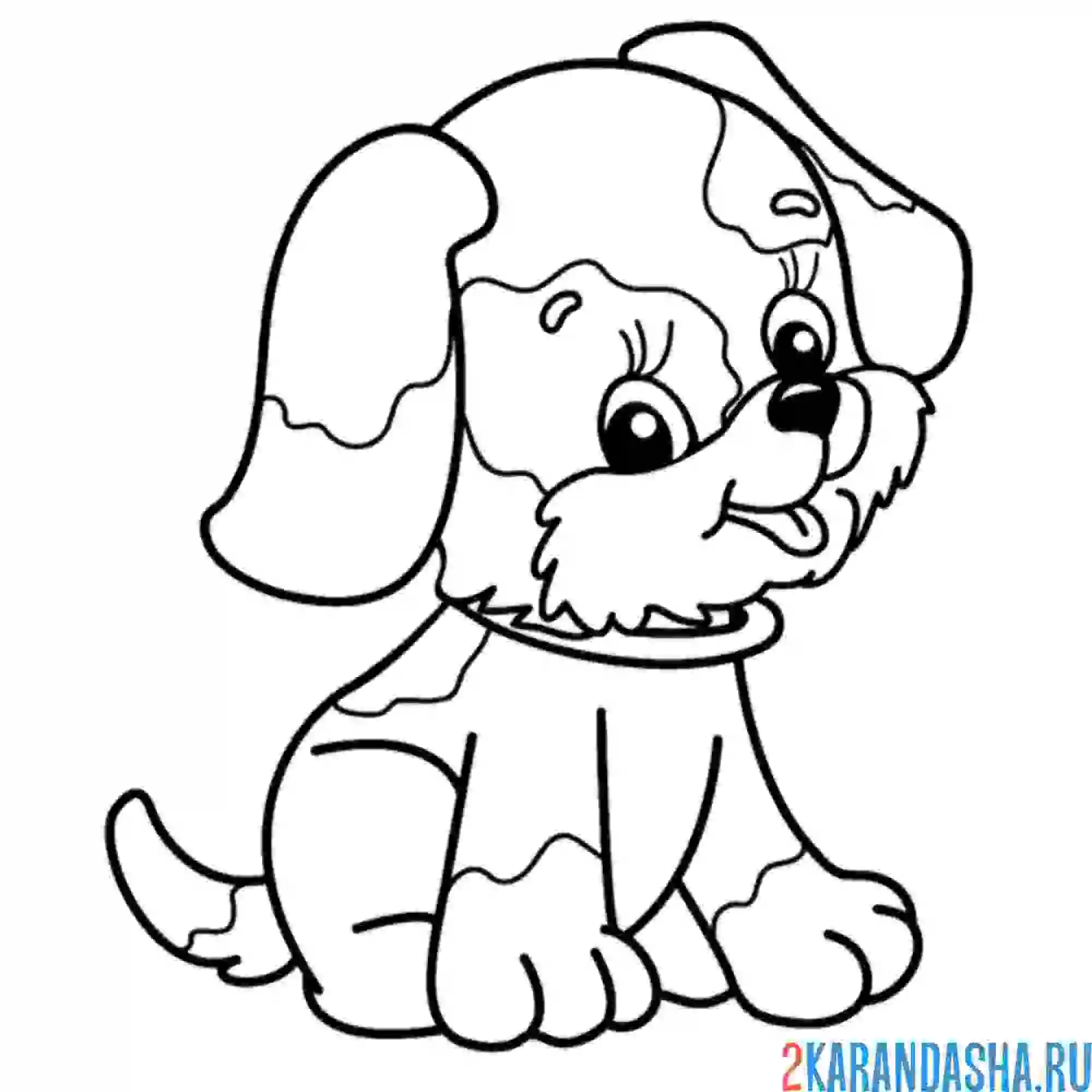 Раскраска щеночек собака в ошейнике
