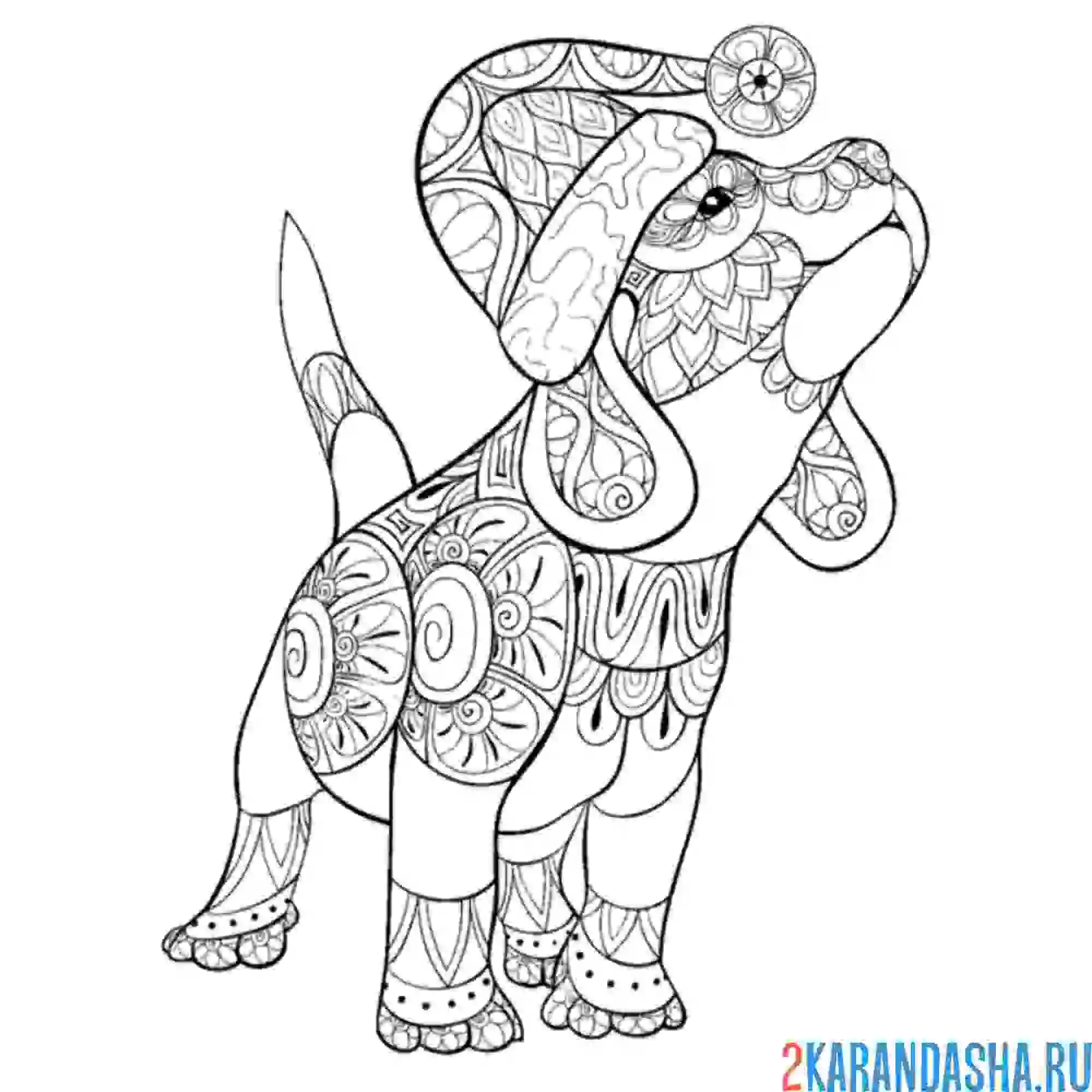 Раскраска антистресс новогодняя собака