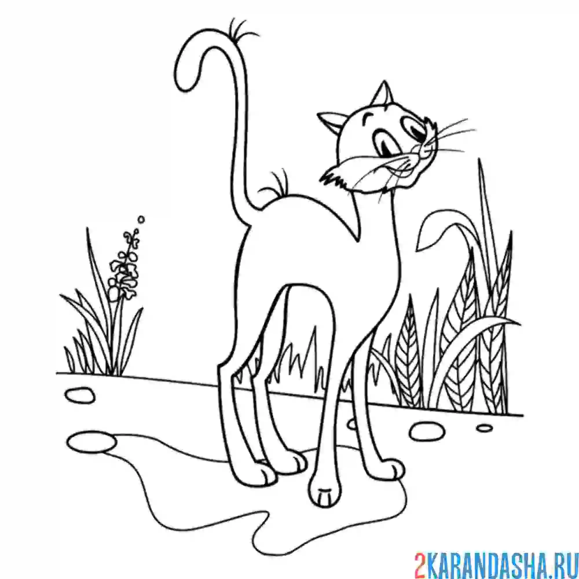 Раскраска кот из котенка по имени гав