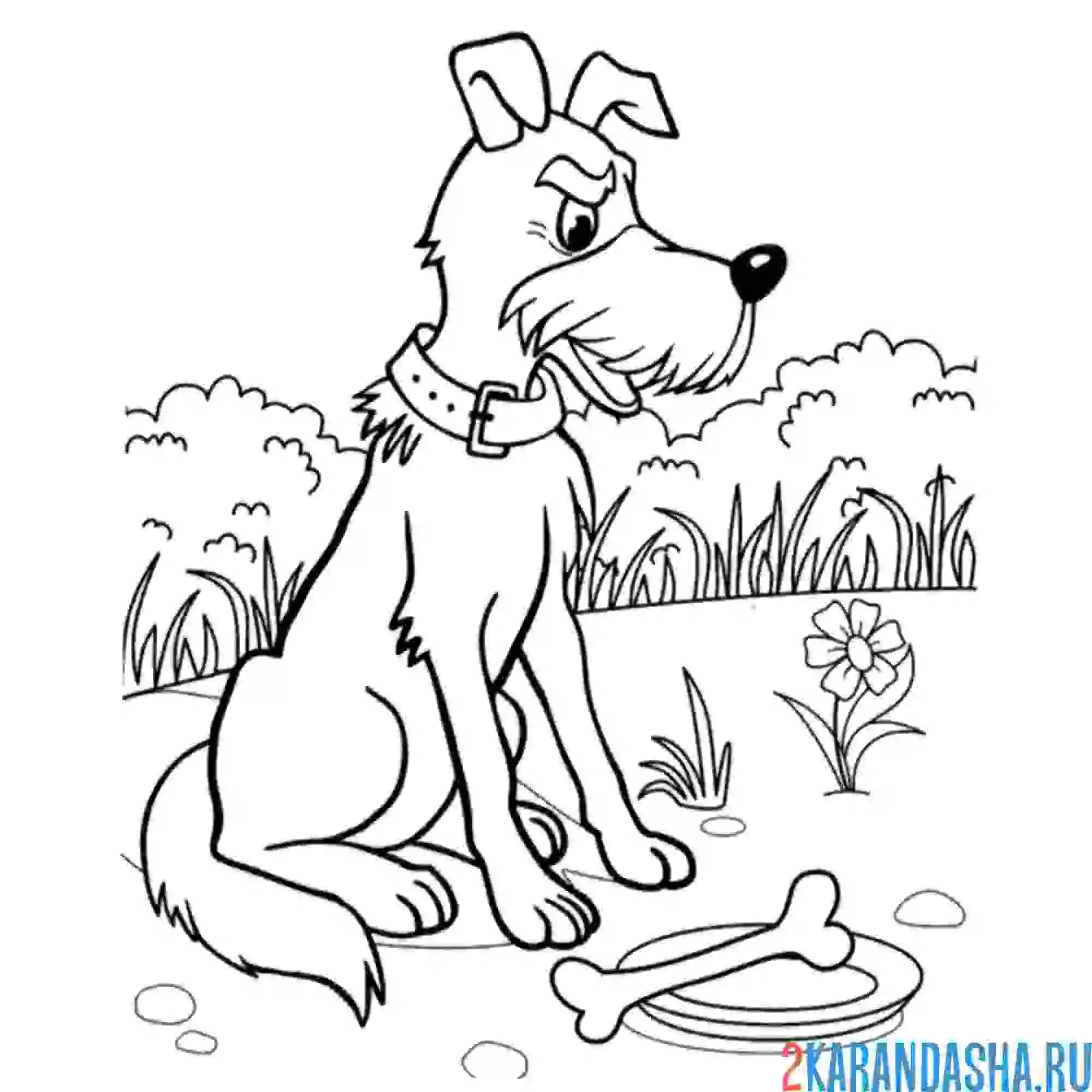 Раскраска собака из котенка по имени гав