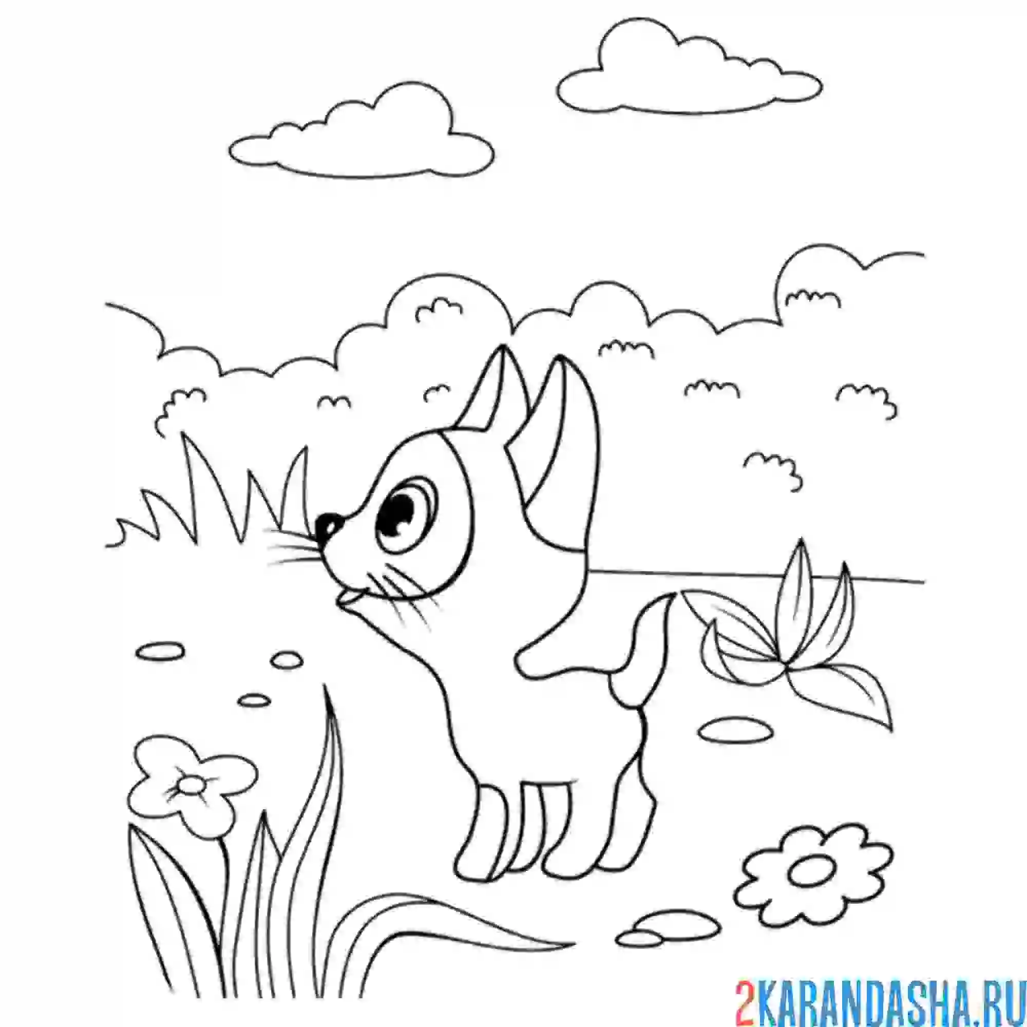 Раскраска гав котенок смотрит в небо