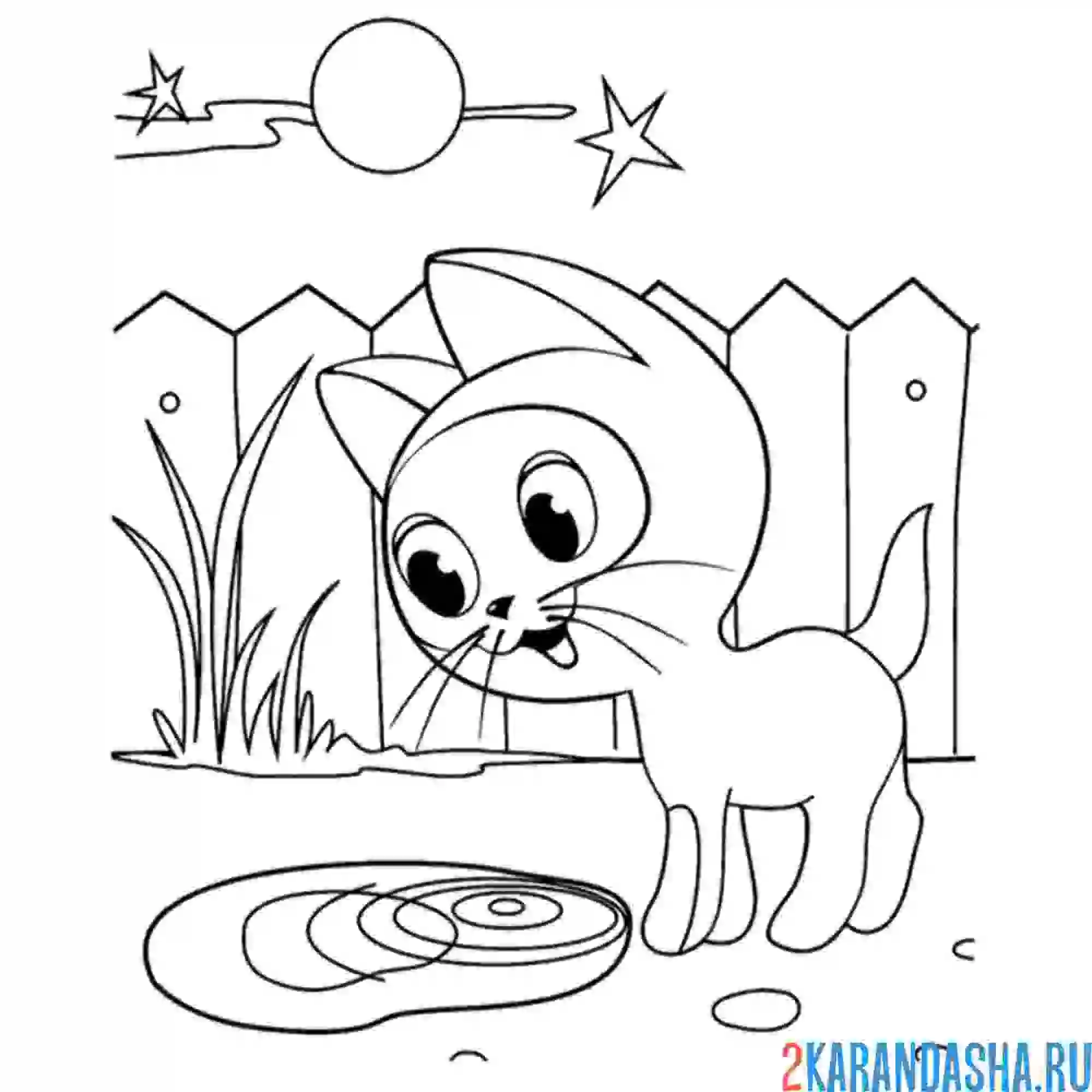 Раскраска котенок гав нашел мясо