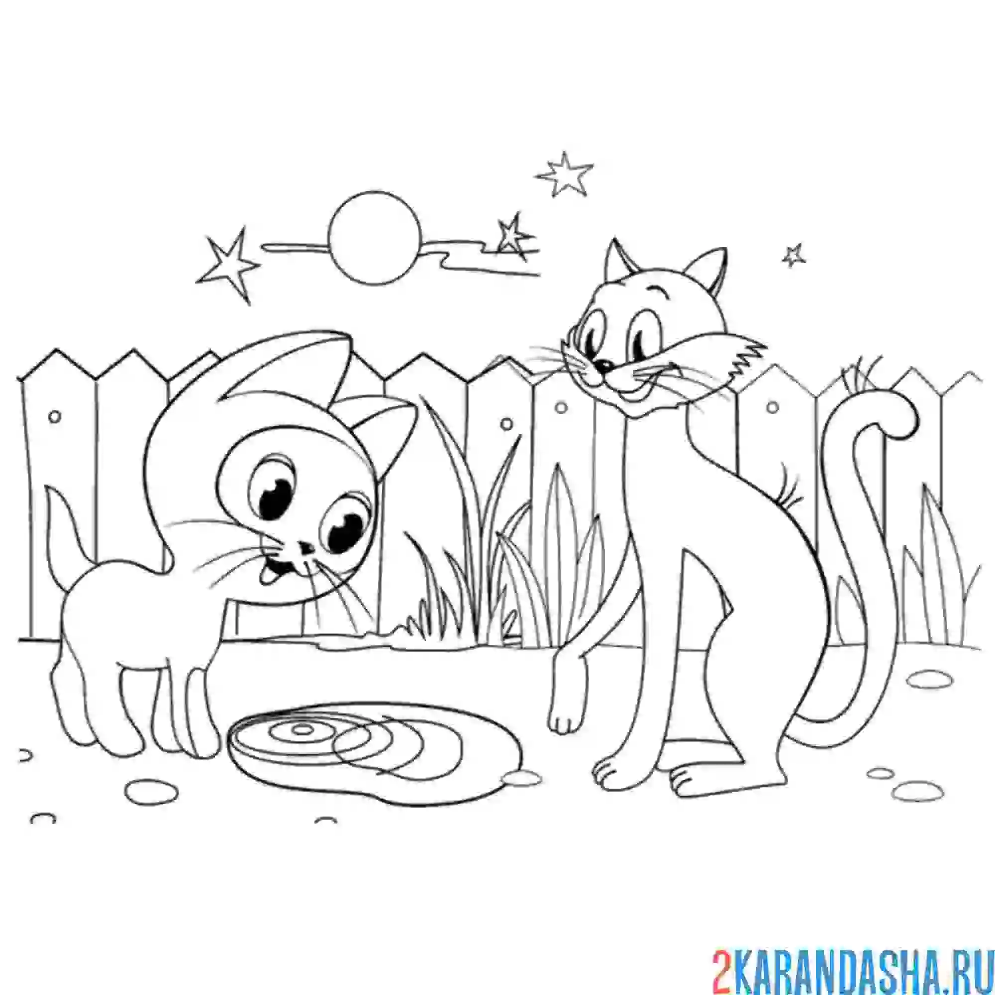 Раскраска котенок по имени гав с котом