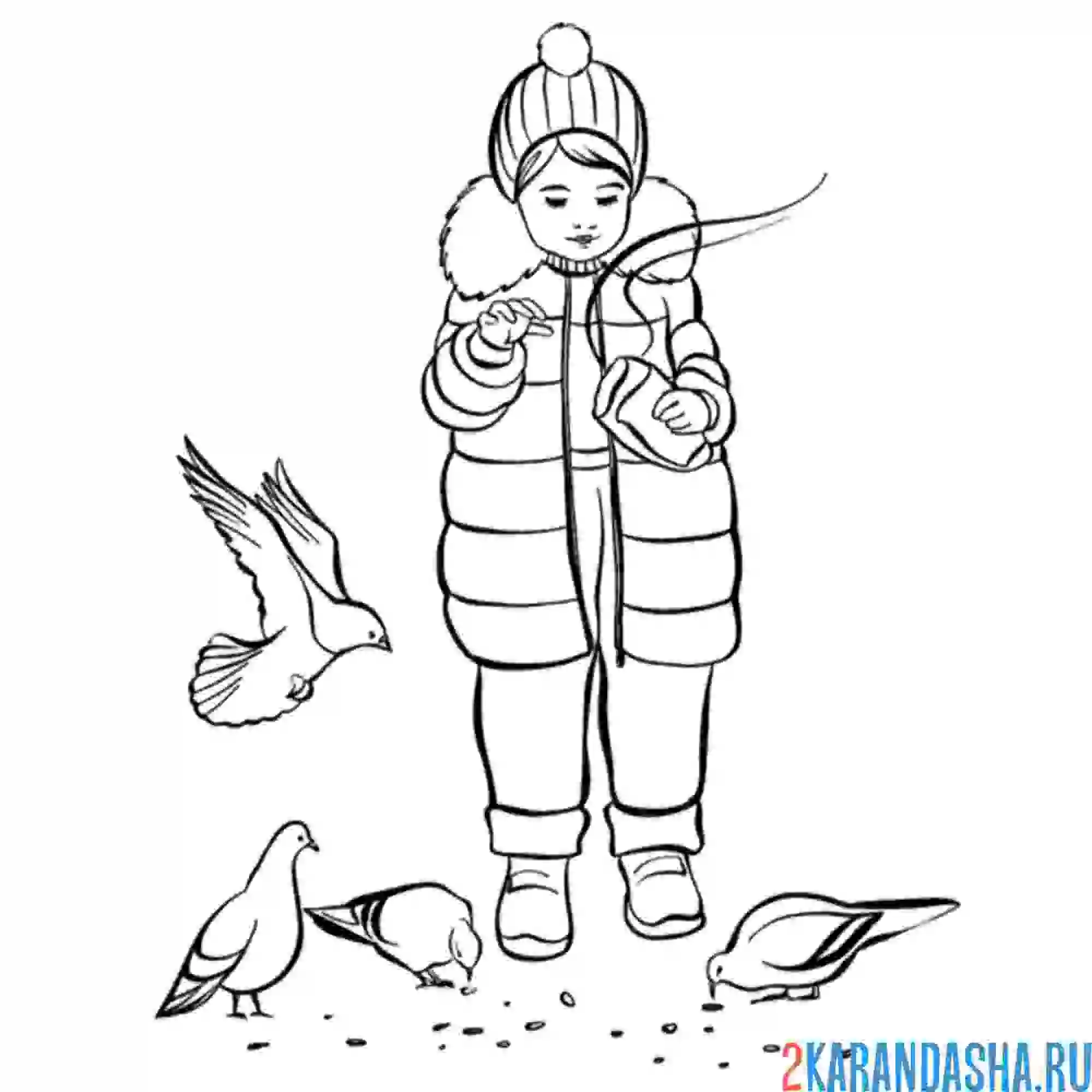 Раскраска девочка кормит голубей