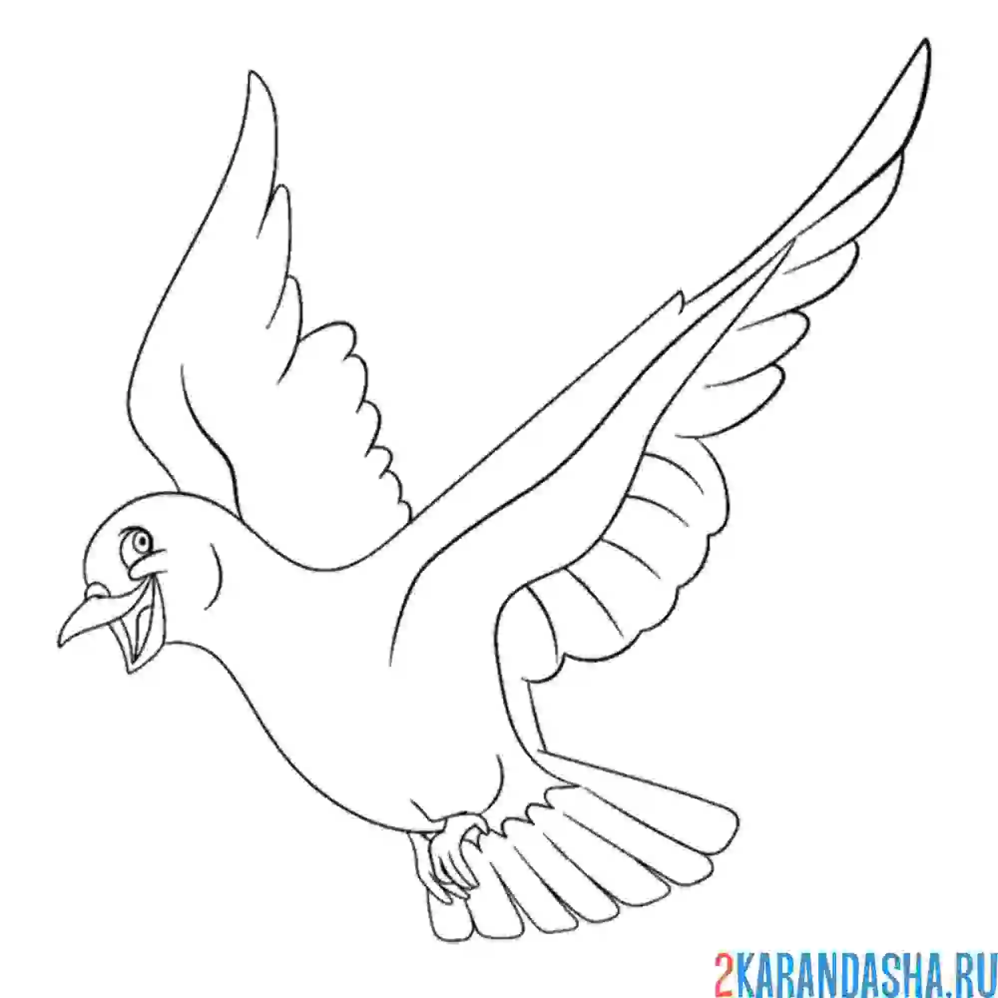 Раскраска смеющийся голубь