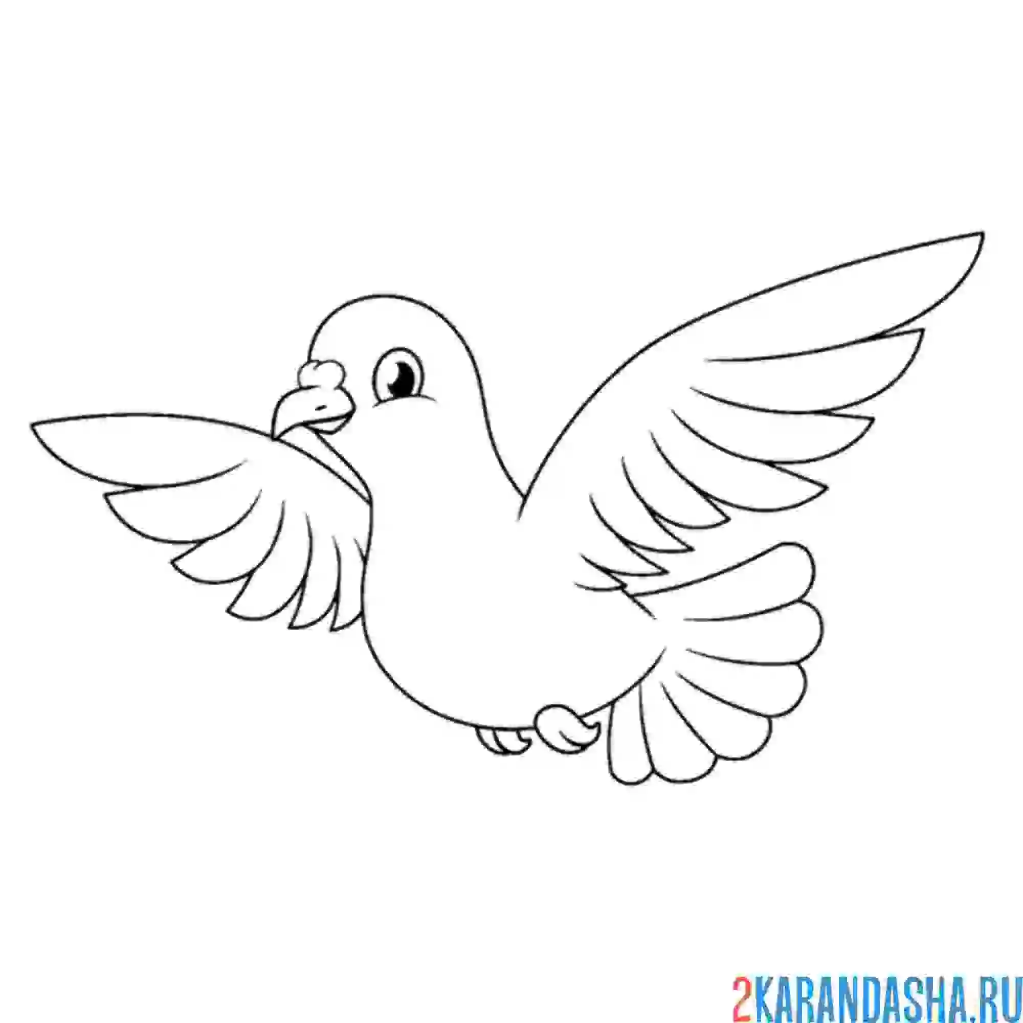 Раскраска летящий голубь