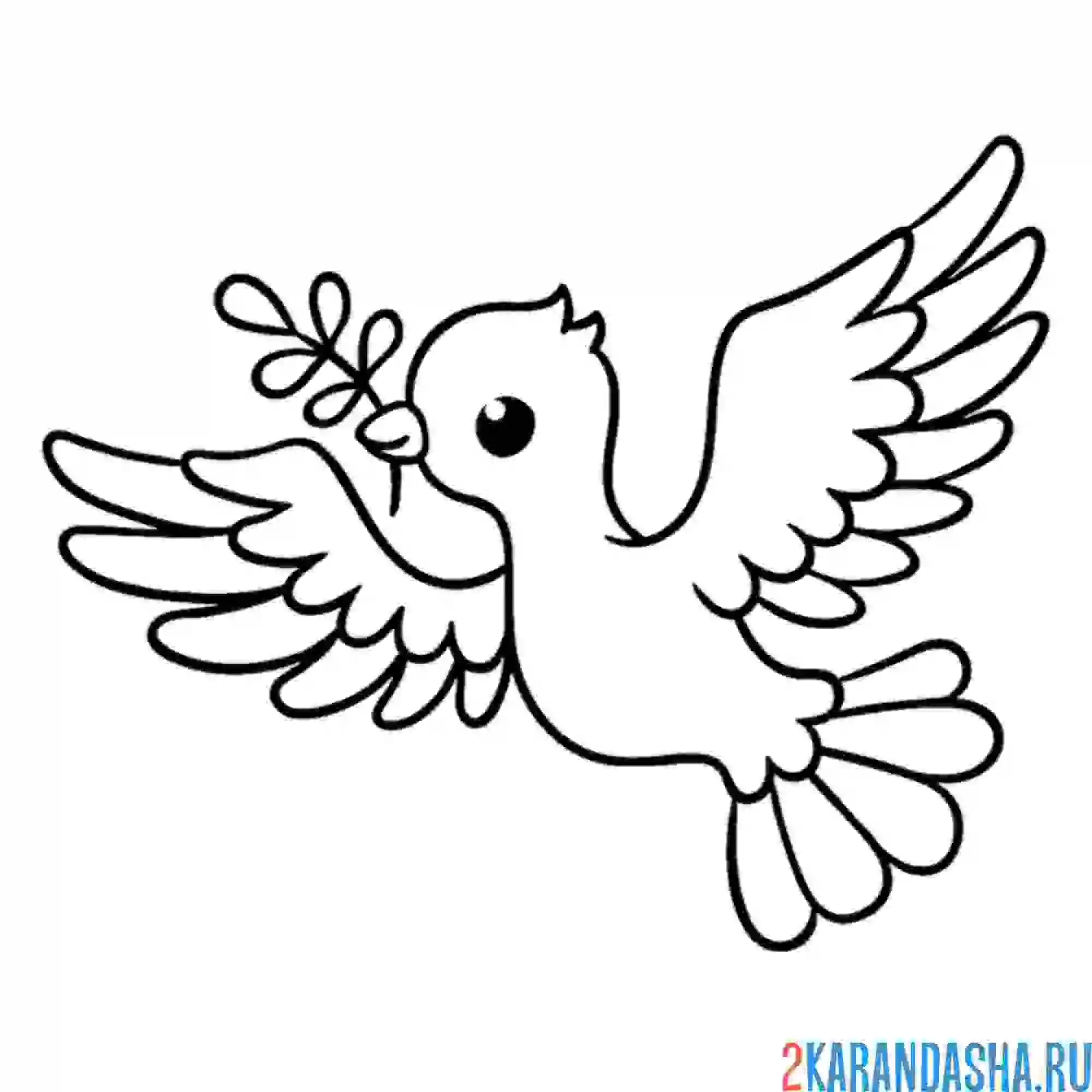 Раскраска голубь с веточкой