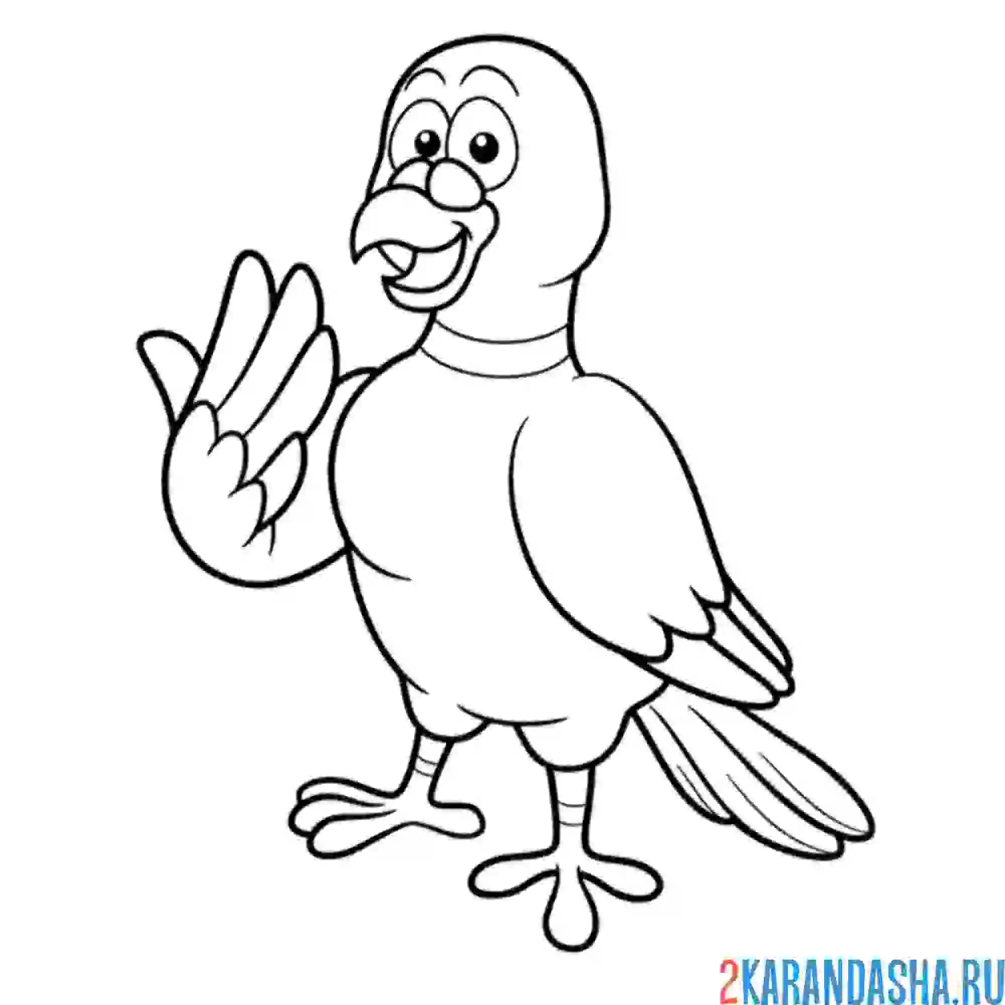 Раскраска голубь хороший
