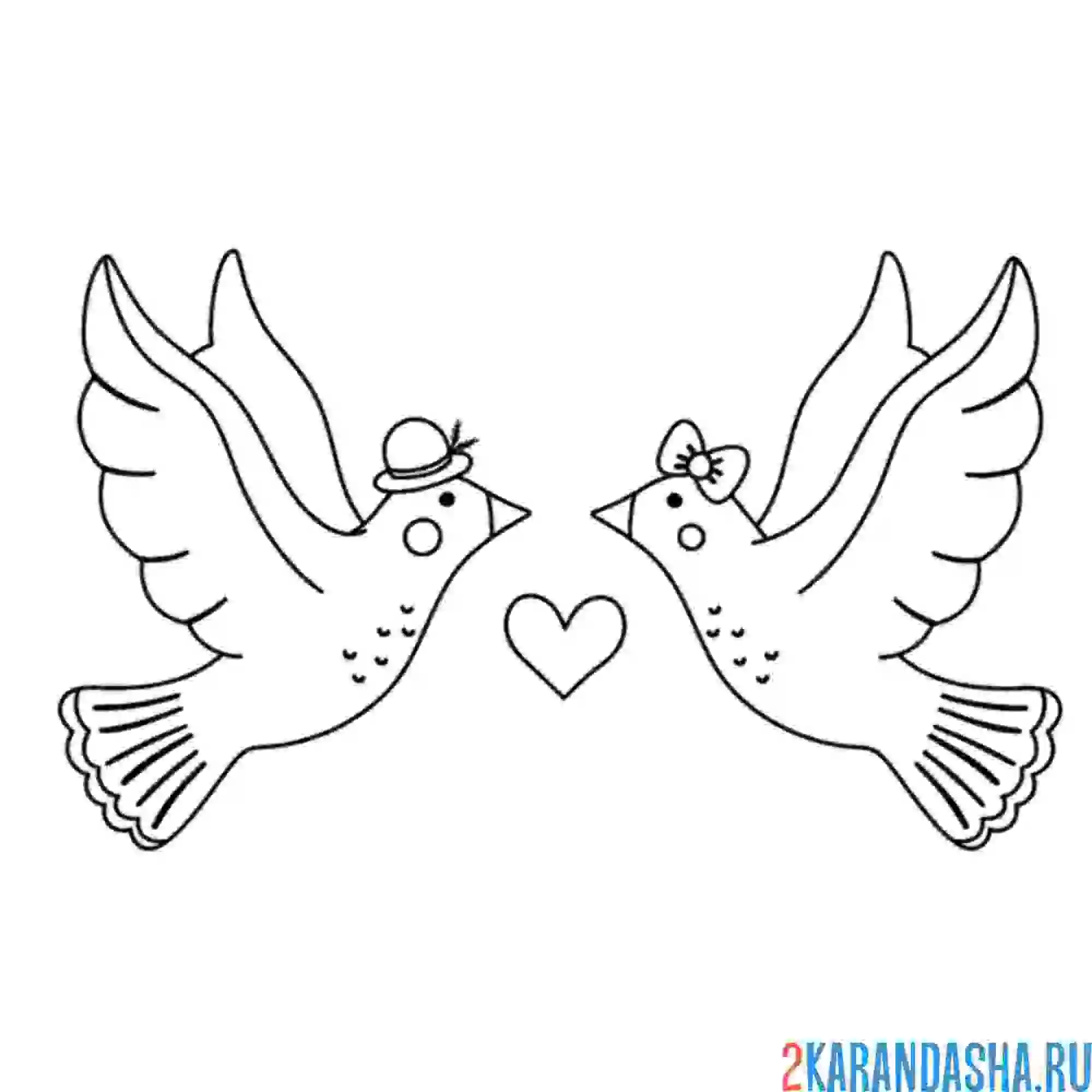 Раскраска два влюбленных голубя в воздухе