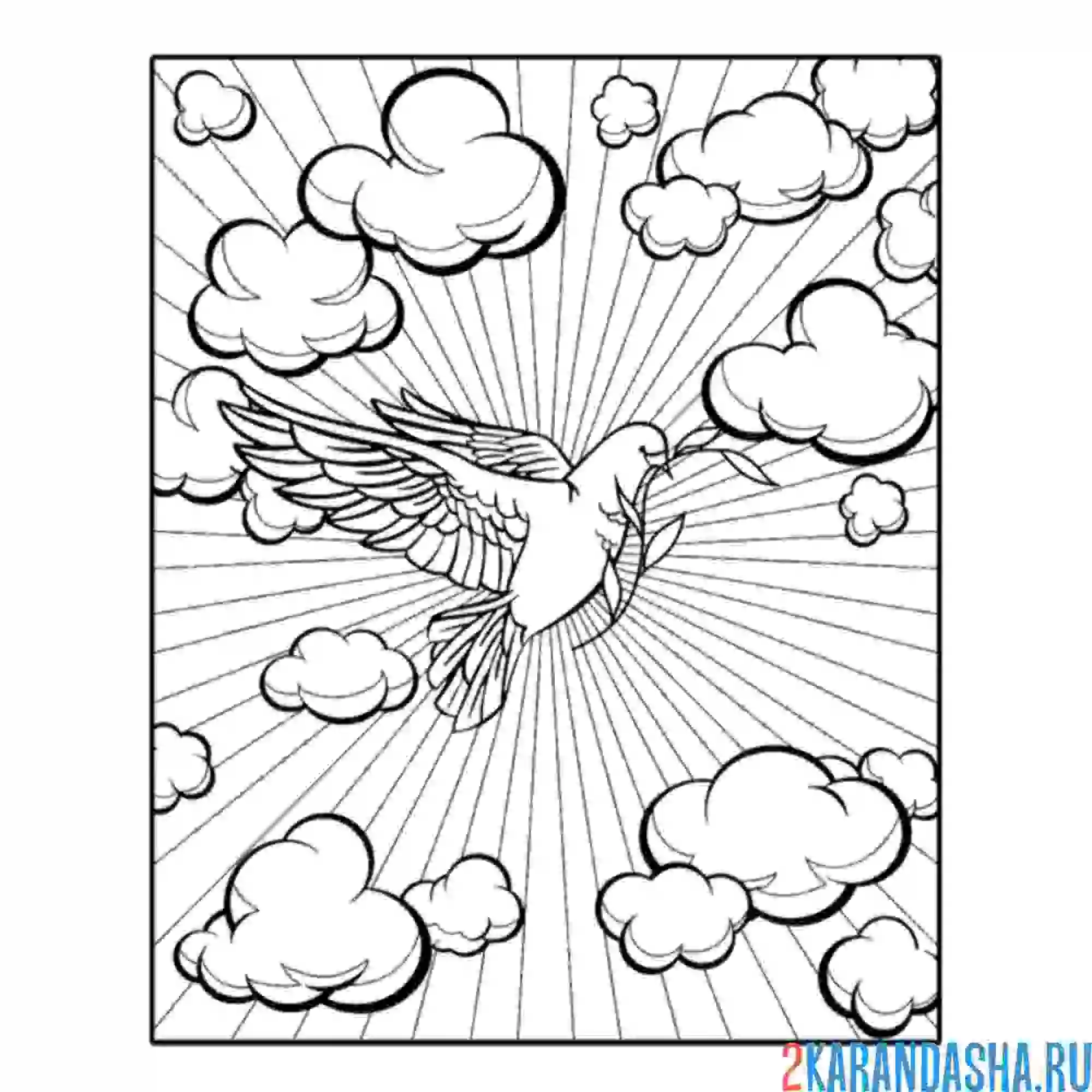 Раскраска голубь в небе с облаками