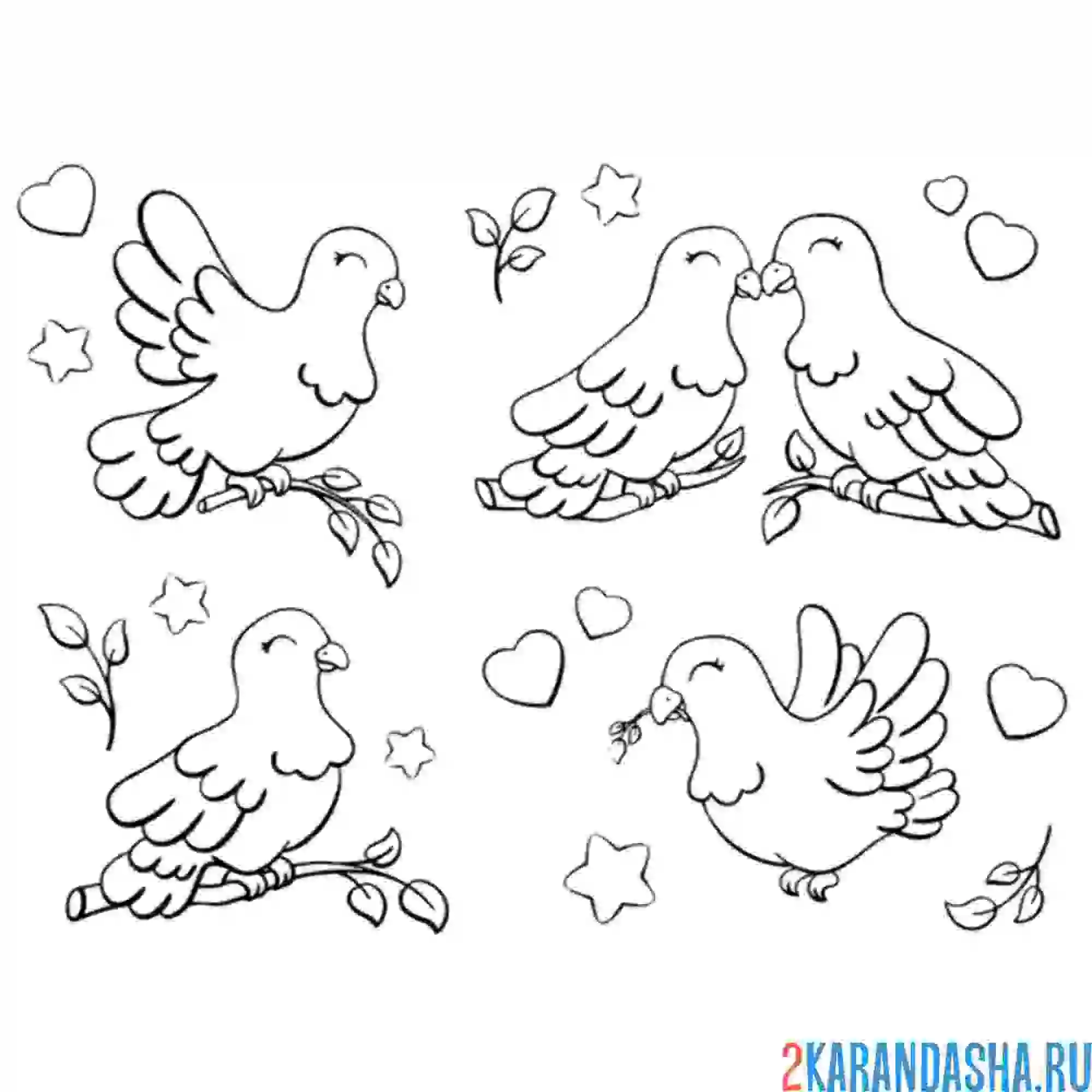 Раскраска много голубей