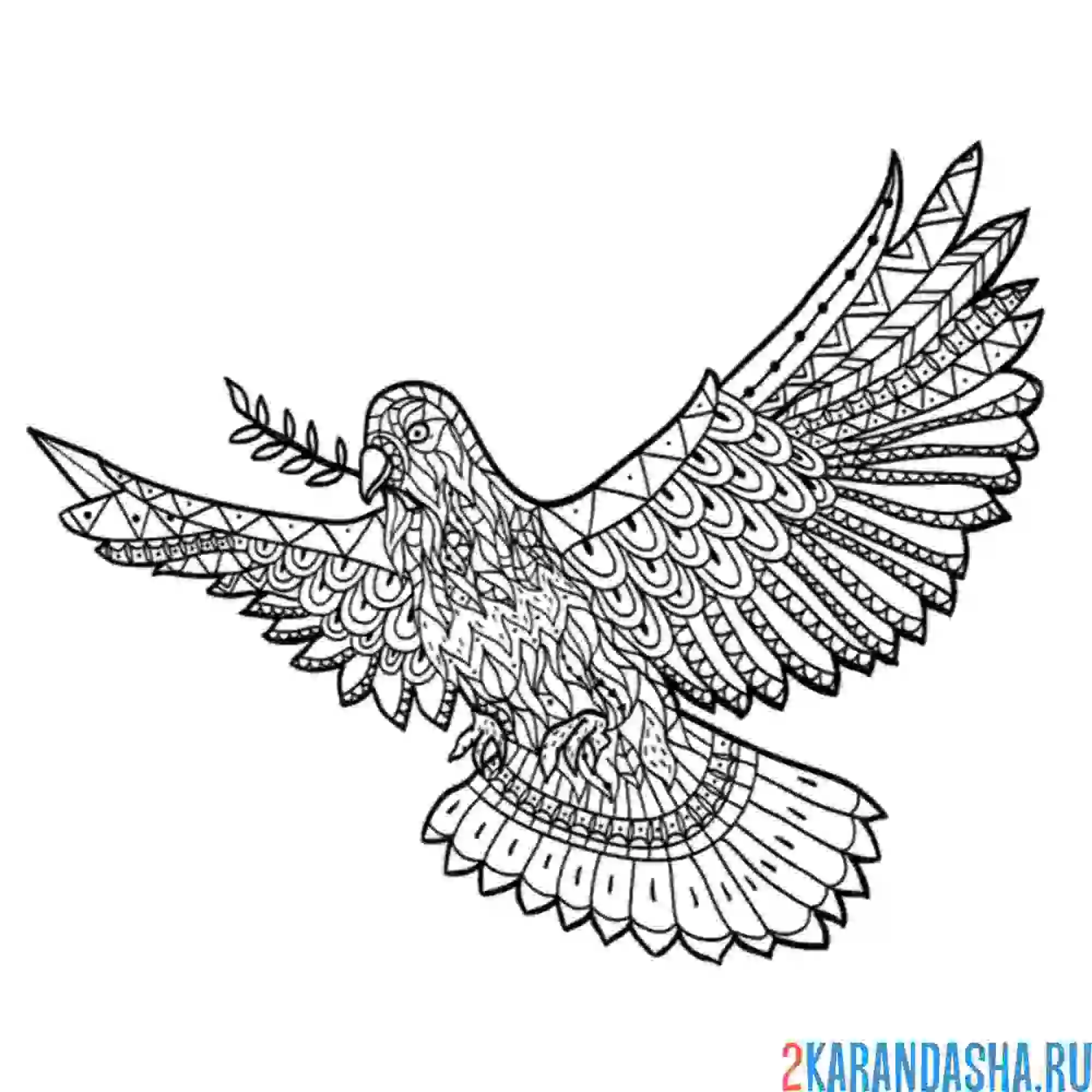 Раскраска антистресс-голубь