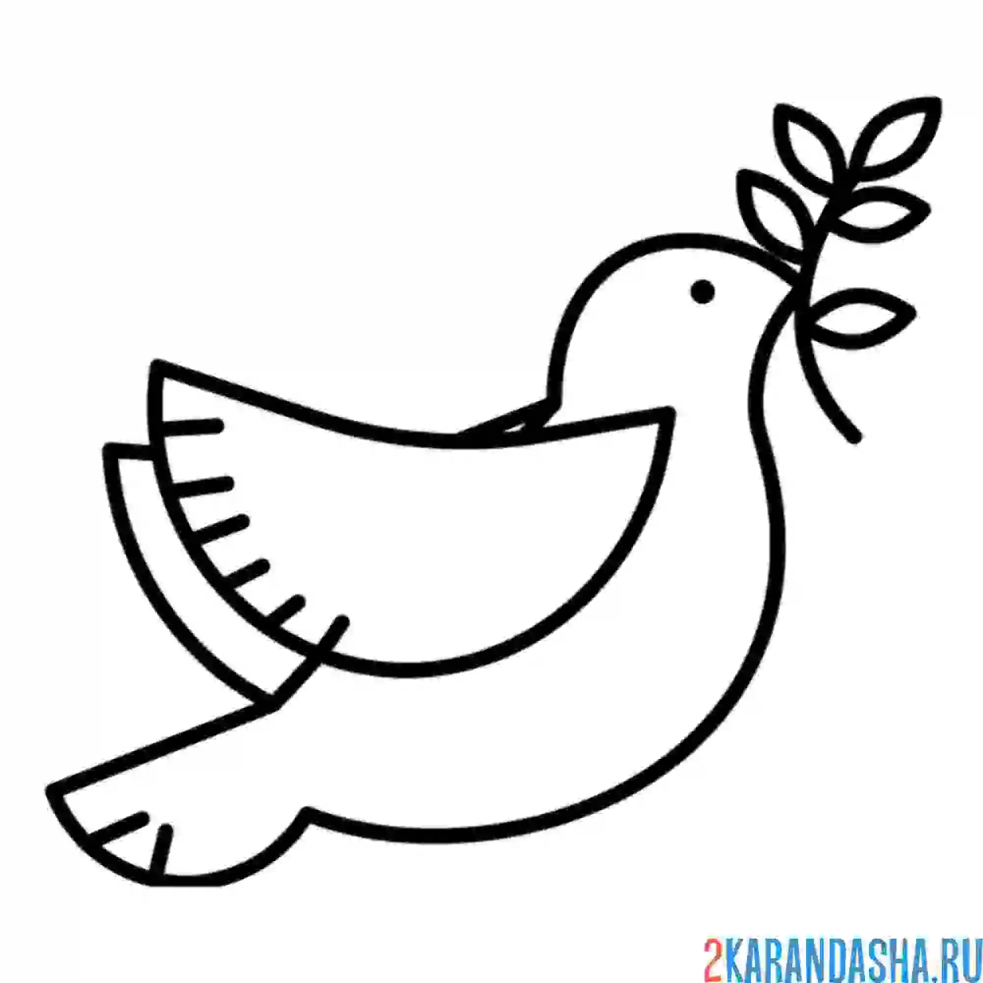 Раскраска птичка-голубь
