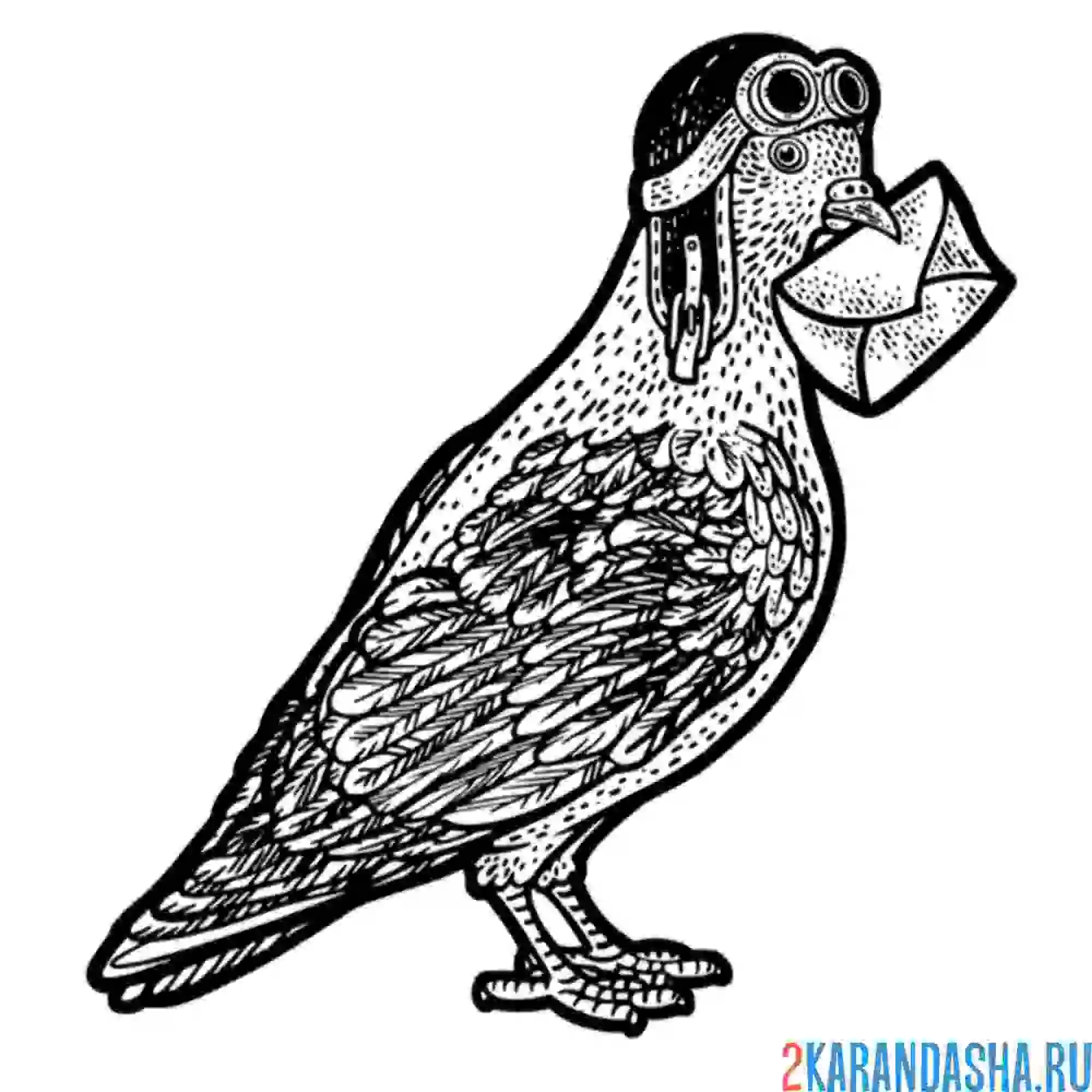 Раскраска почтальон-голубь