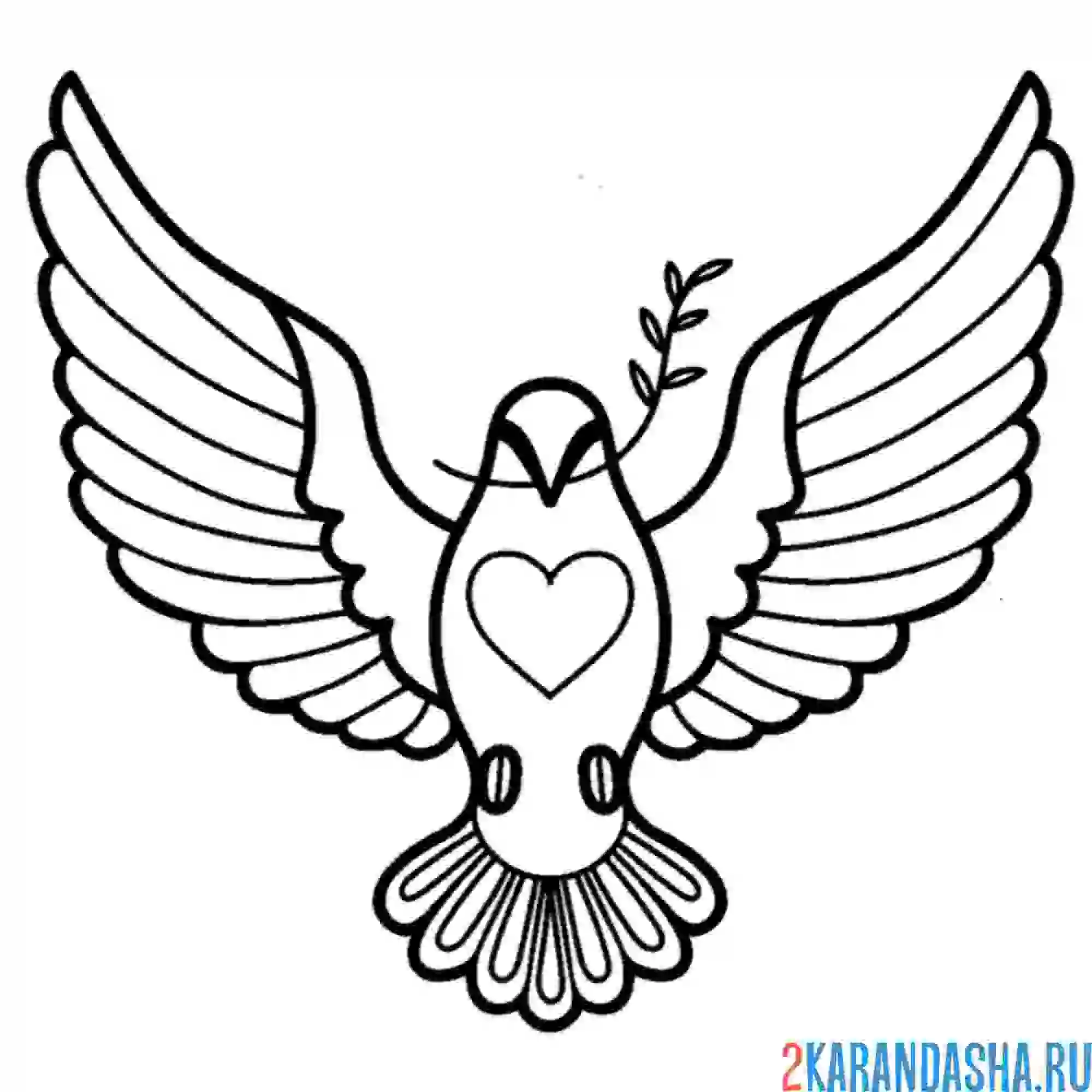 Раскраска голубь мира всем мир
