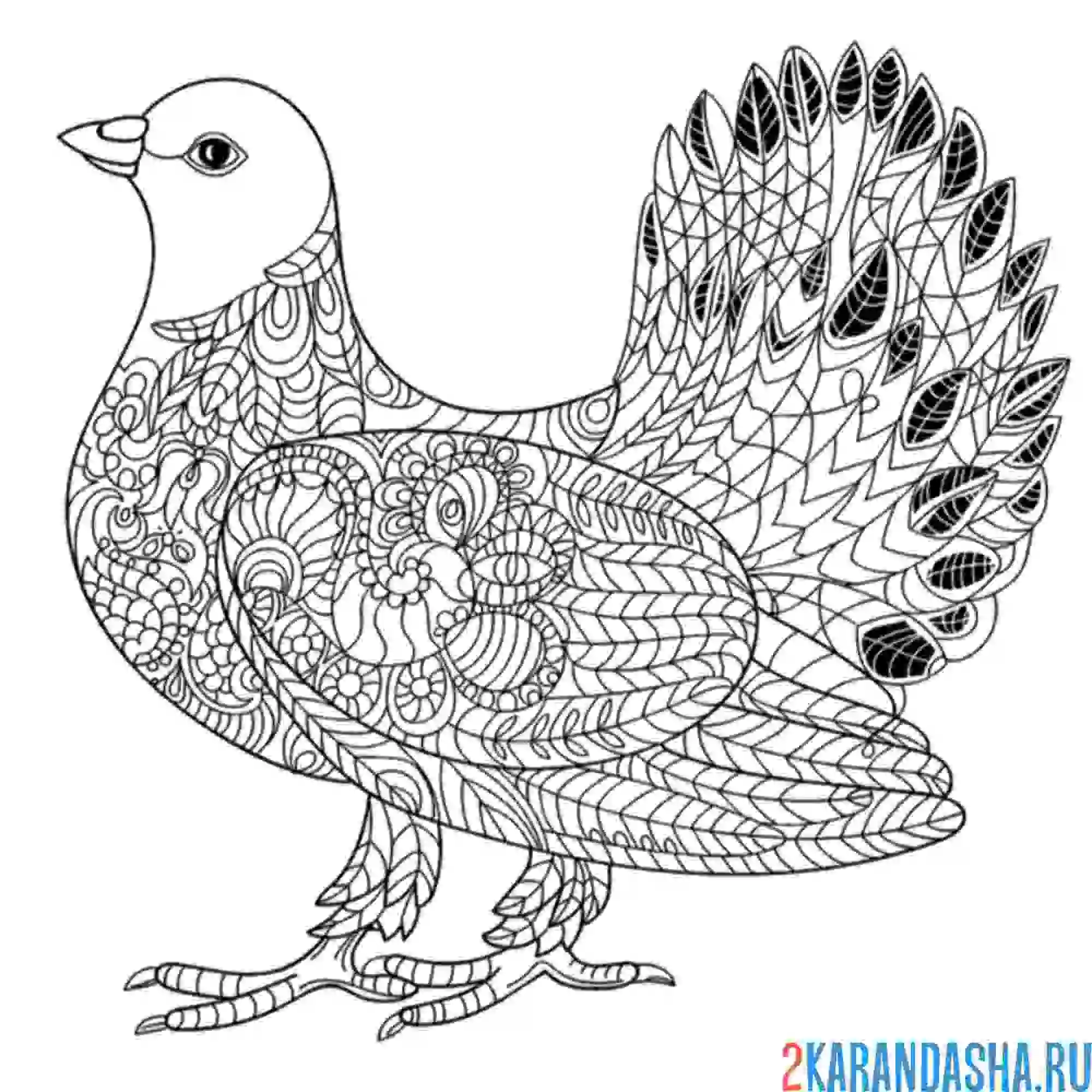 Раскраска голубка-антистресс