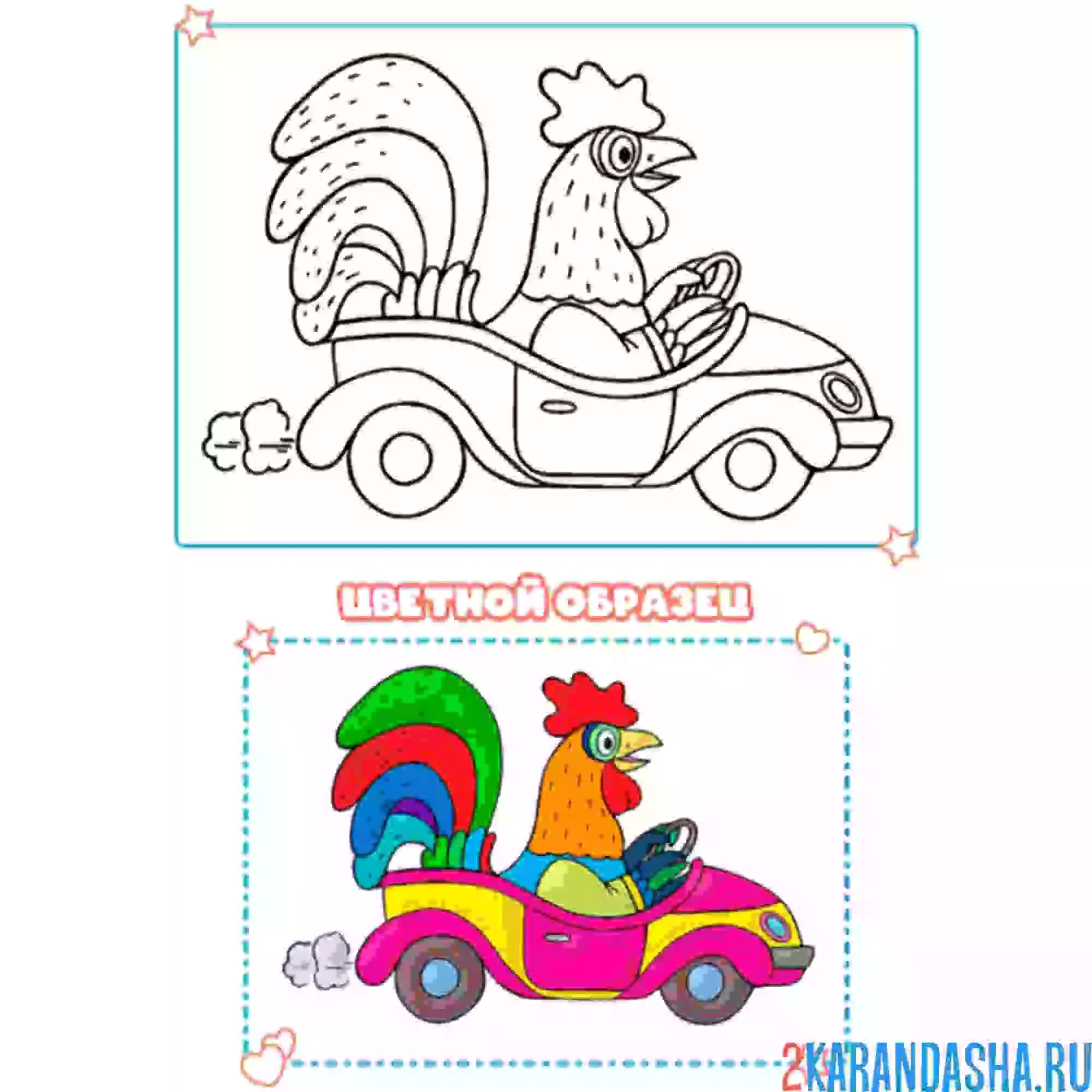 Раскраска с цветным образцом петух