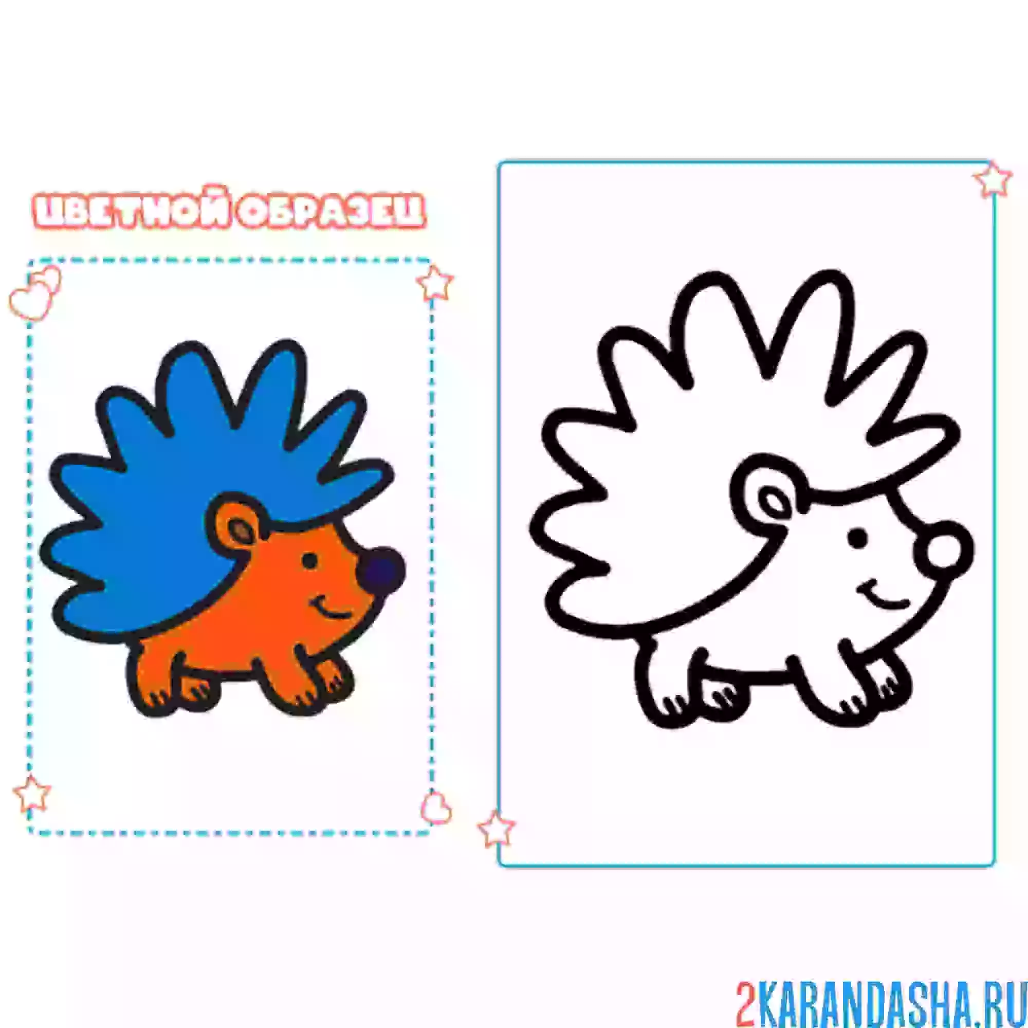 Раскраска с цветным образцом маленький ежик