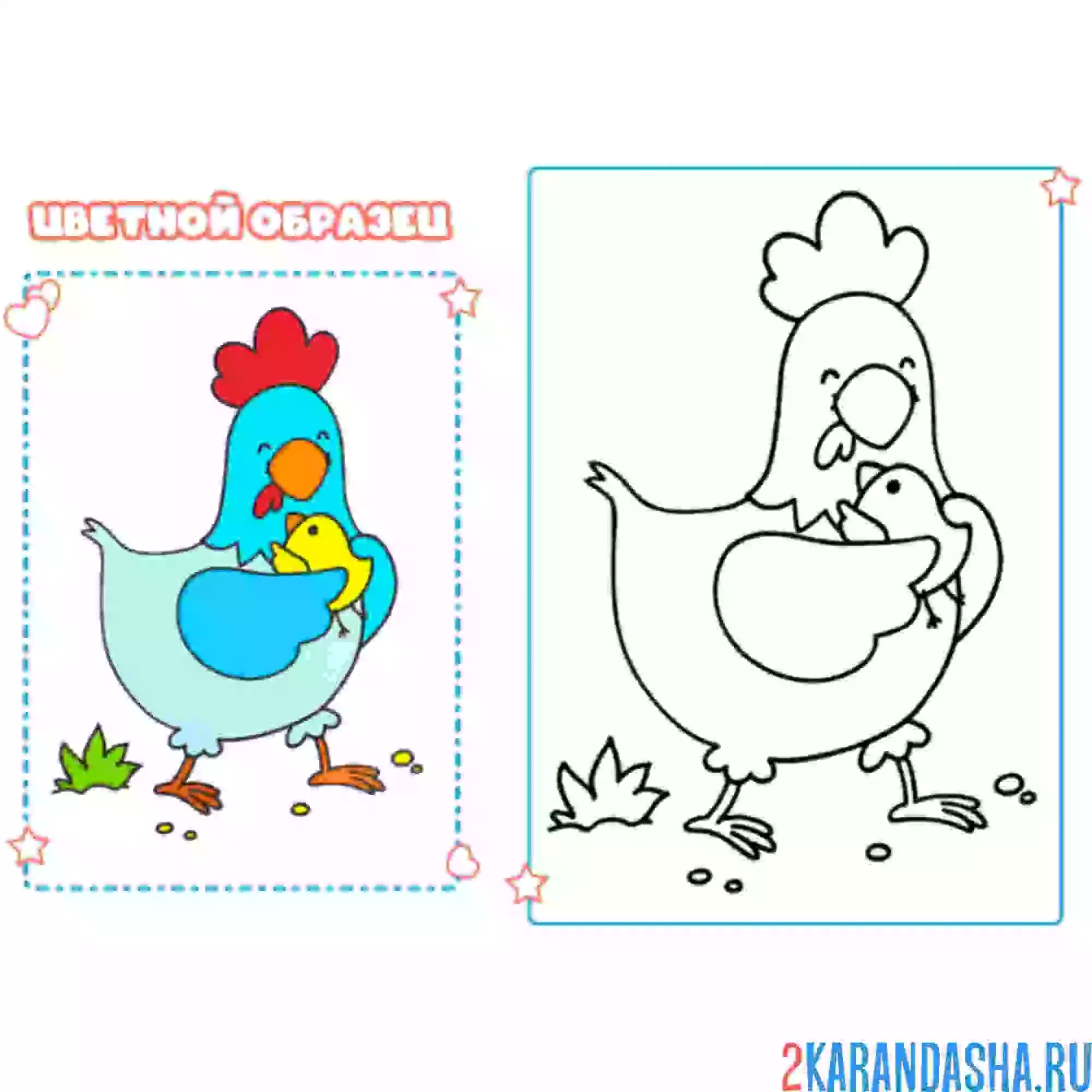 Раскраска с цветным образцом курочка