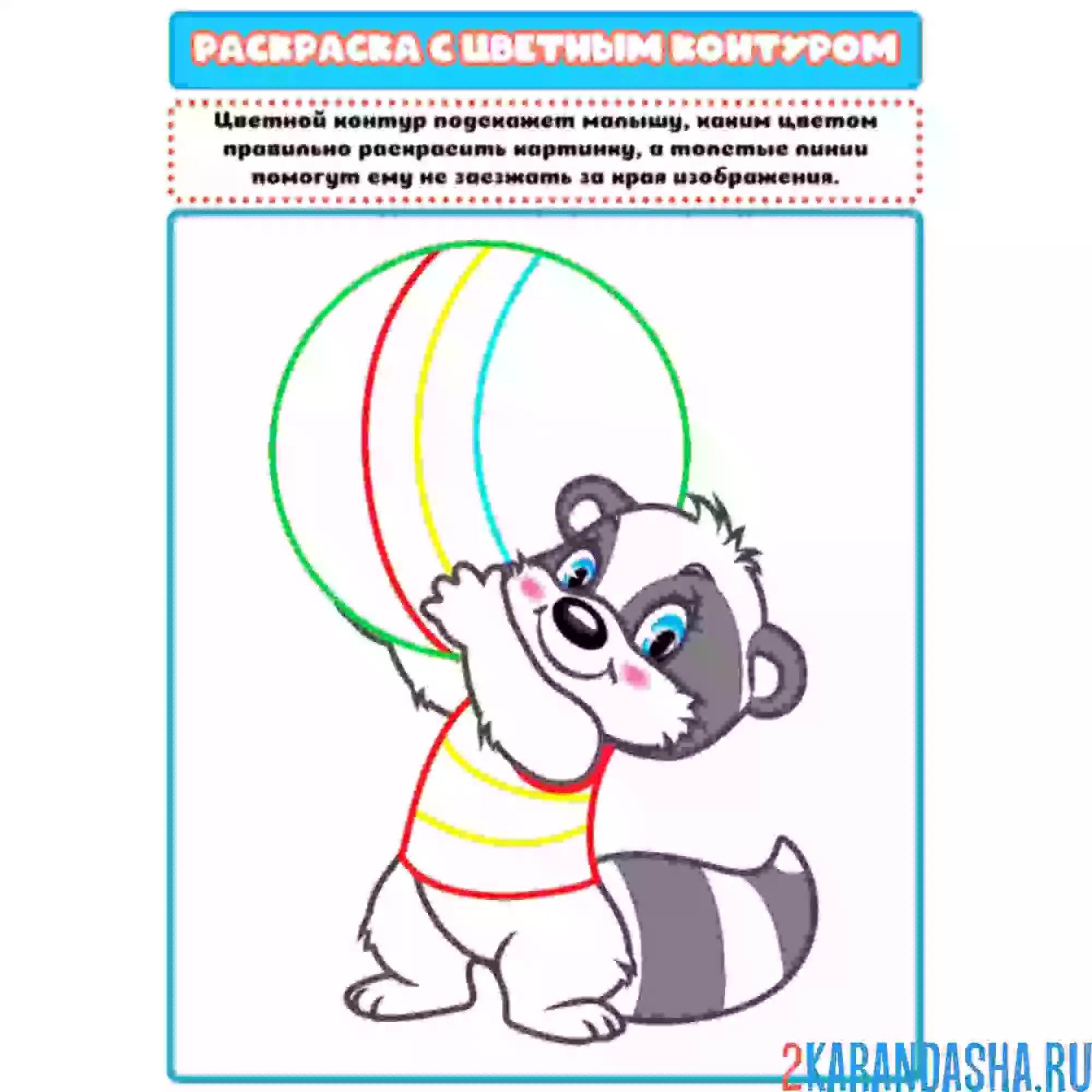 Раскраска с цветным контуром енот