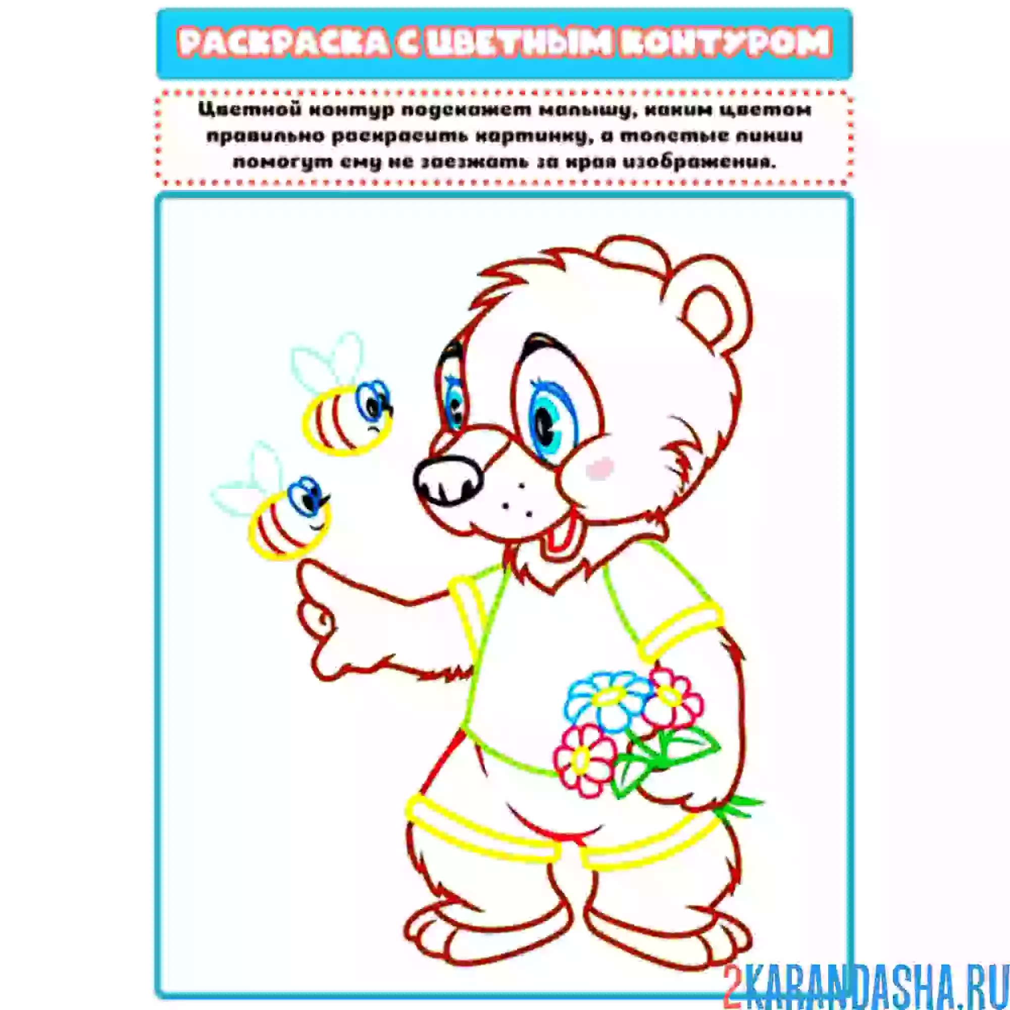 Раскраска с цветным контуром медвежнок