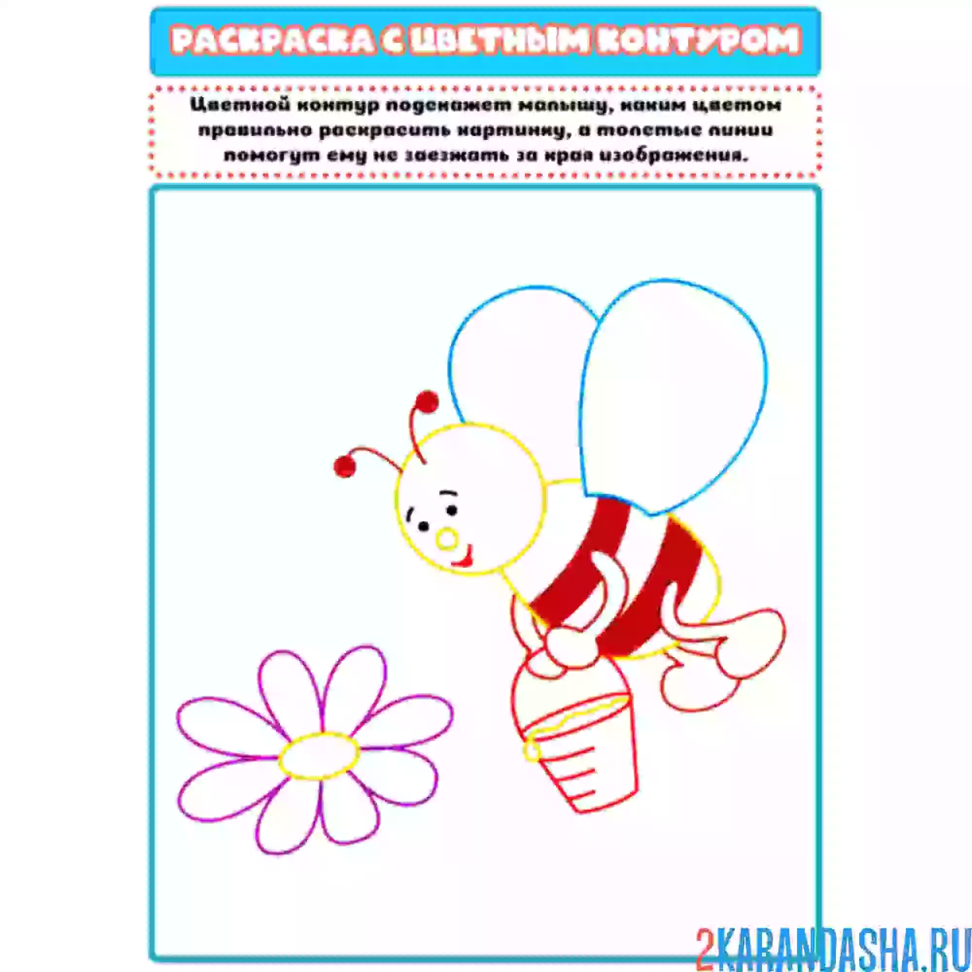 Раскраска с цветным контуром пчелка