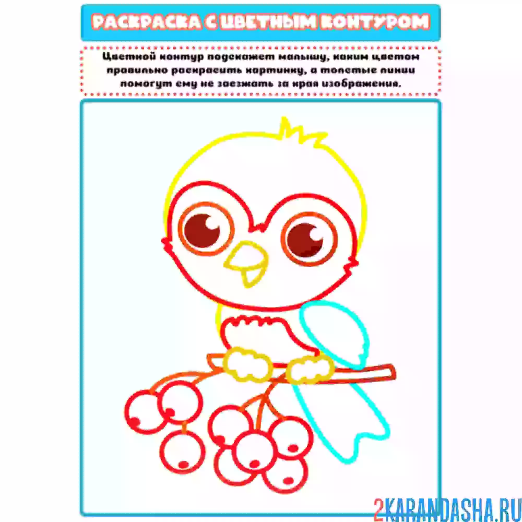 Раскраска с цветным контуром птичка
