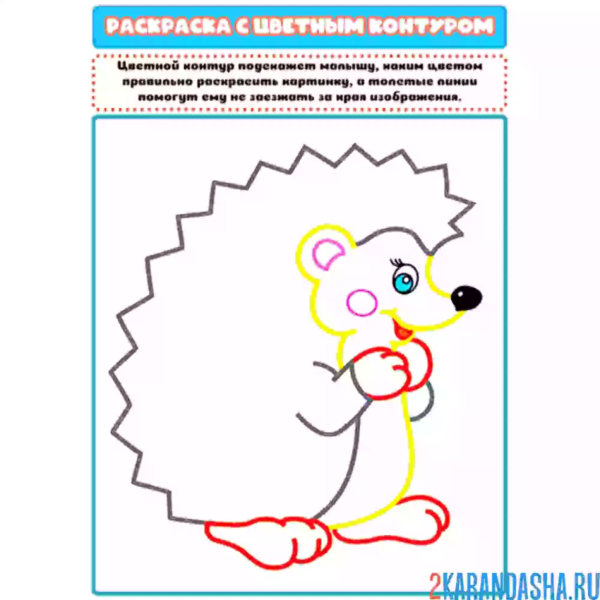 Раскраска с цветным контуром ежик