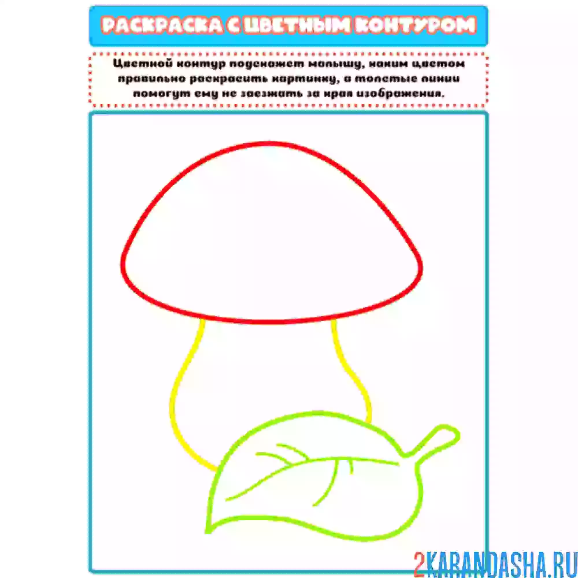 Раскраска с цветным контуром гриб и листочек