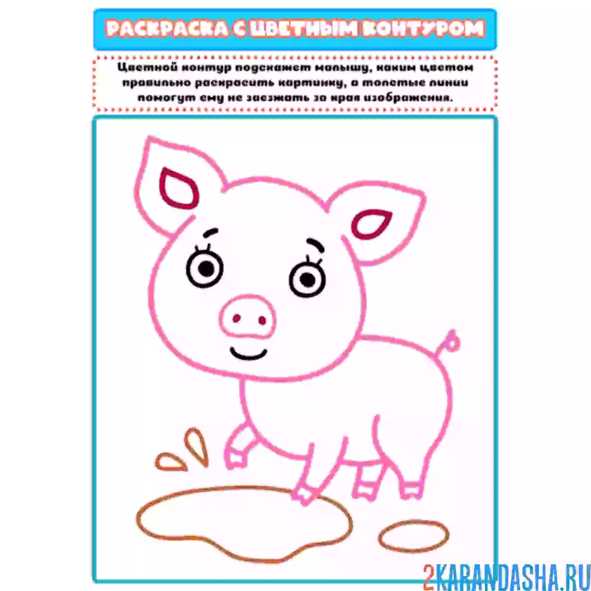 Раскраска с цветным контуром свинка