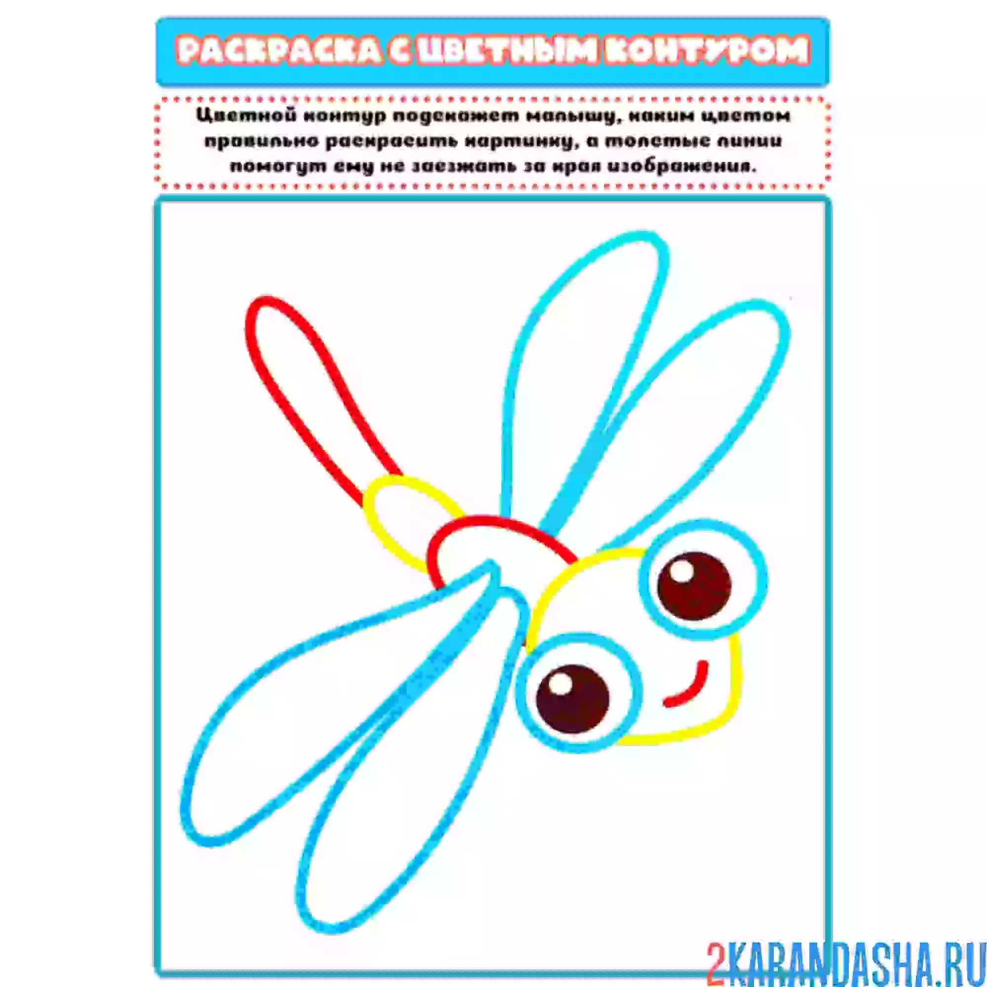 Раскраска с цветным контуром стрекоза