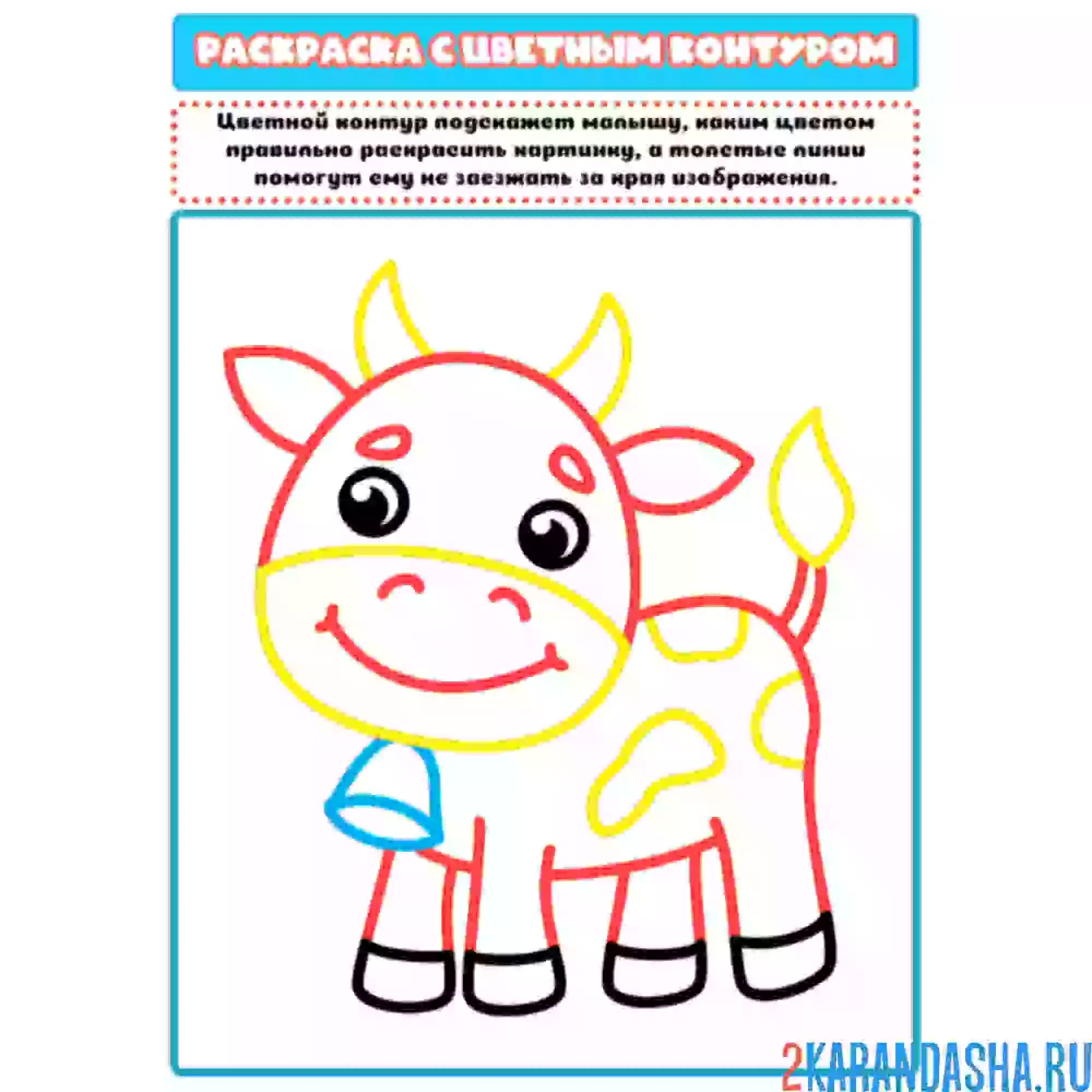 Раскраска с цветным контуром бычок