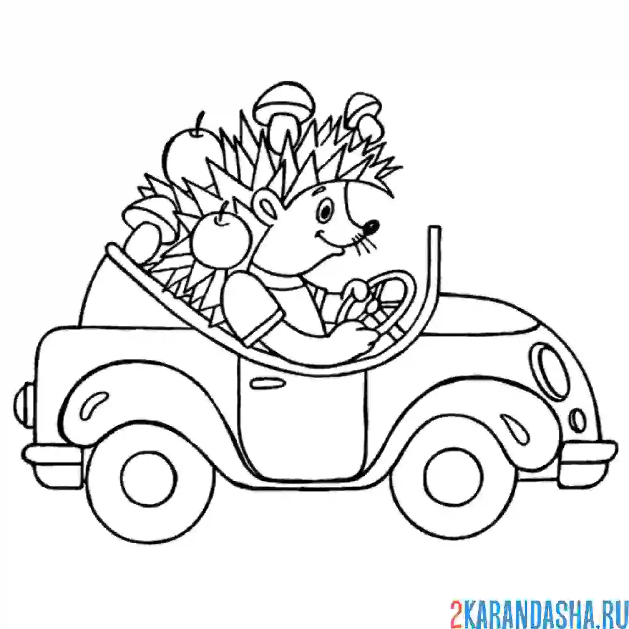 Раскраска ежик на машине