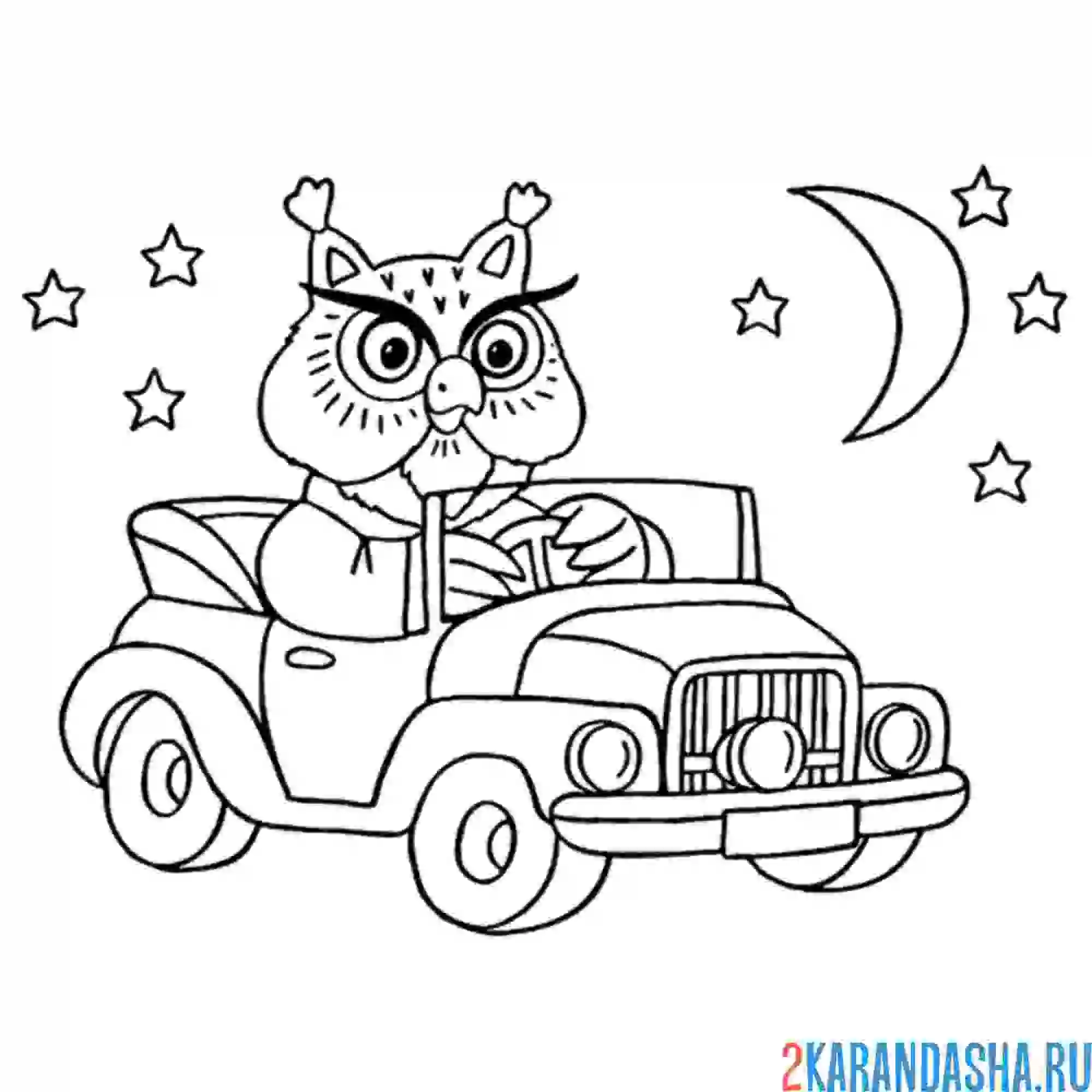 Раскраска сова на машине