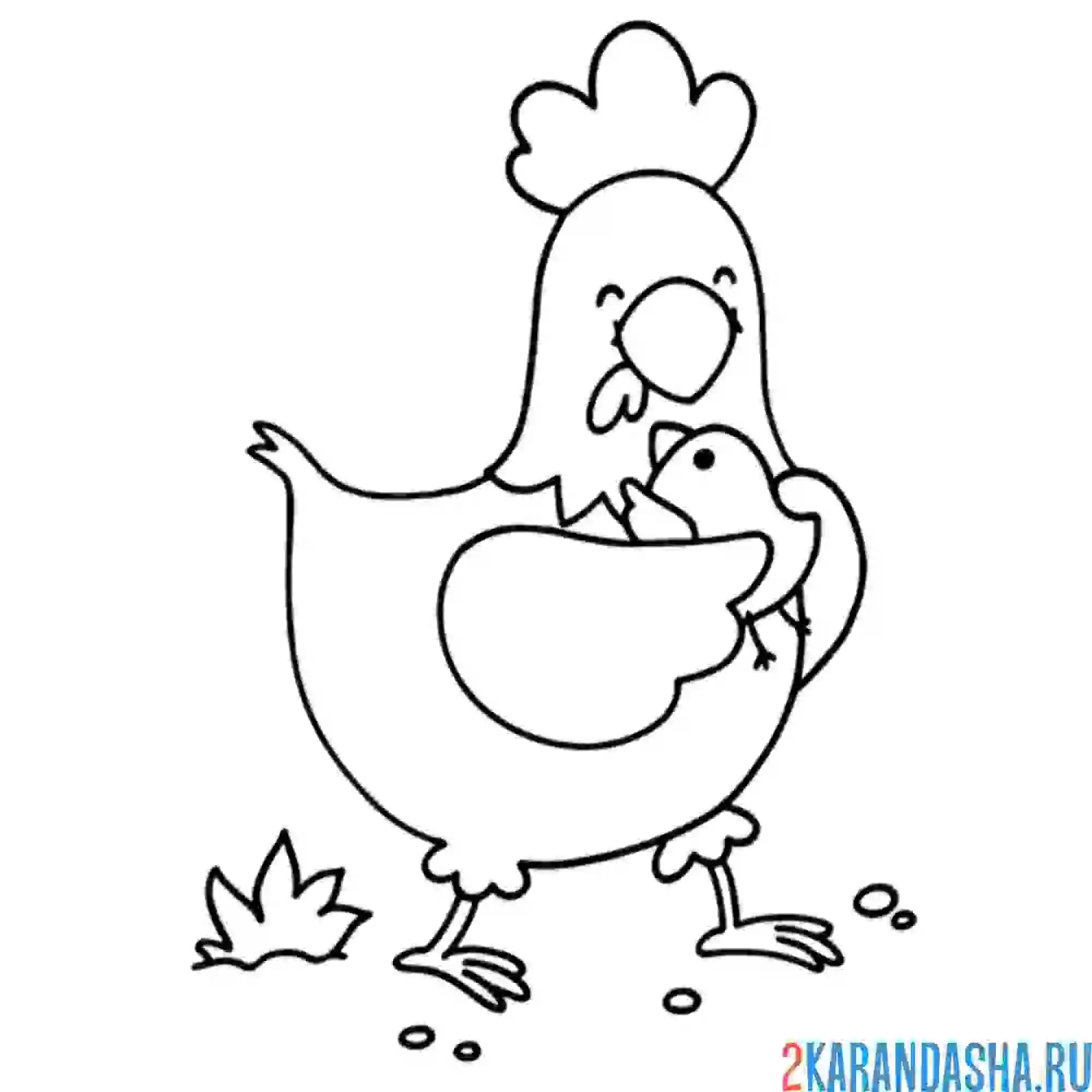 Раскраска курочка с цыпленокм