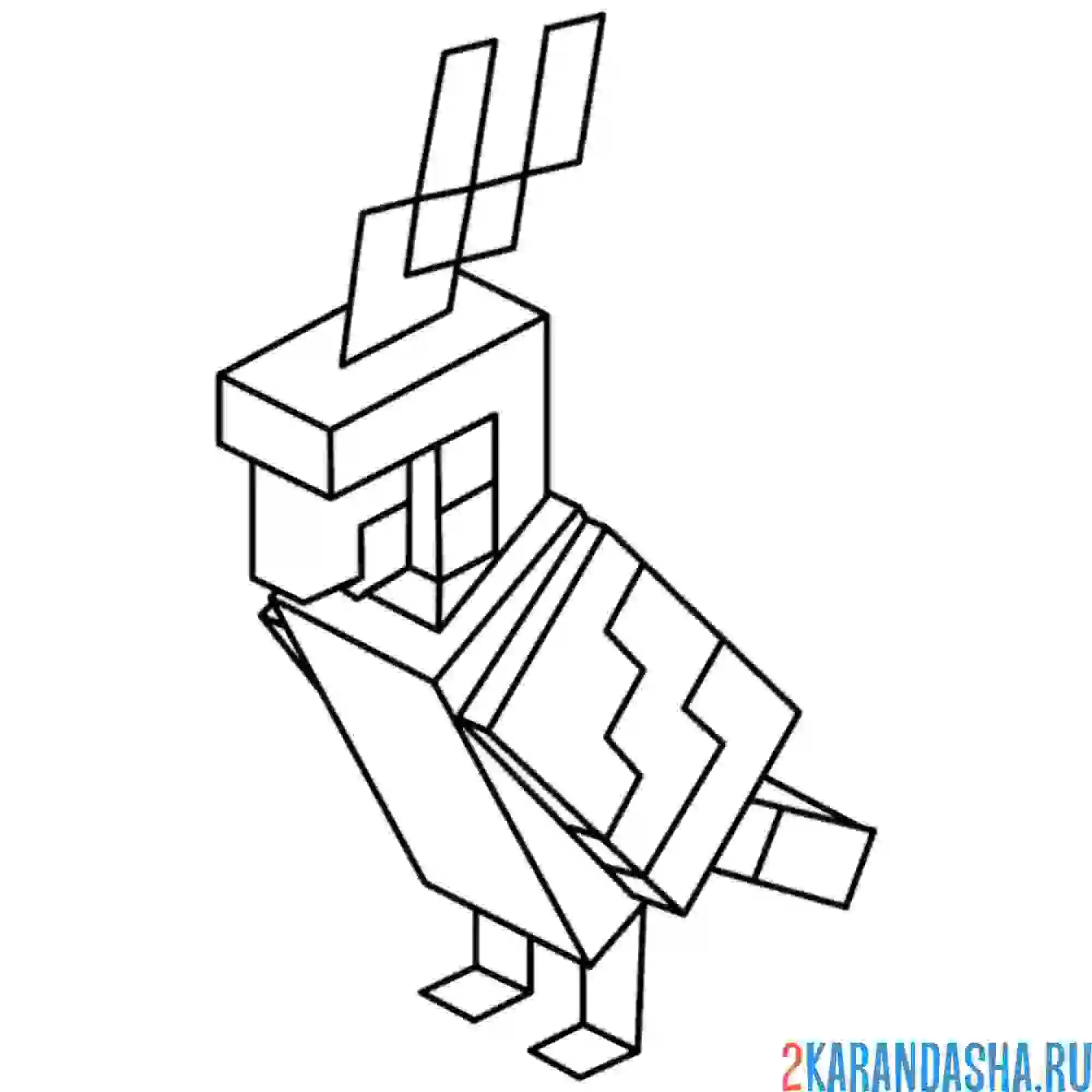 Раскраска попугай