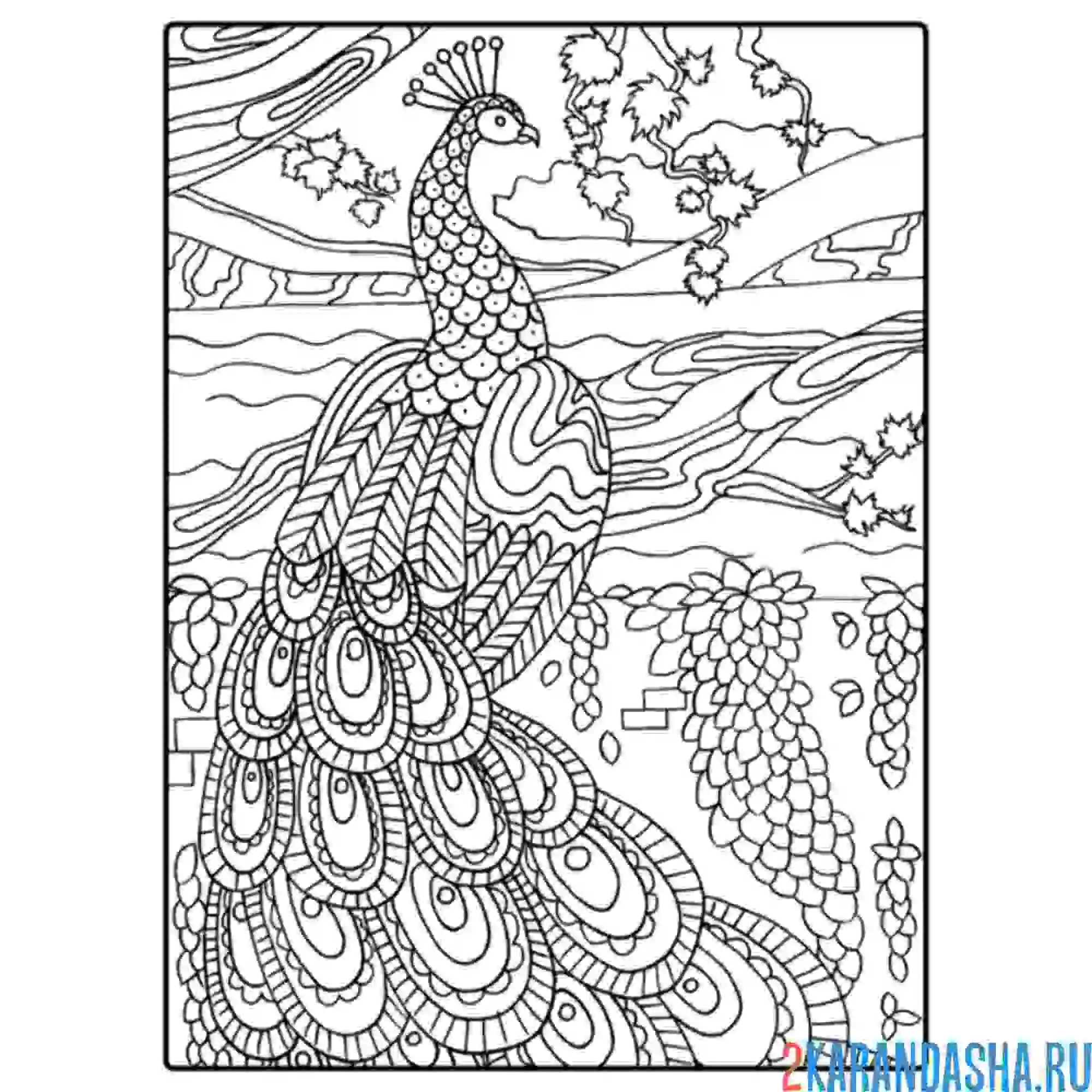 Раскраска арт-раскраска жар-птица на дереве
