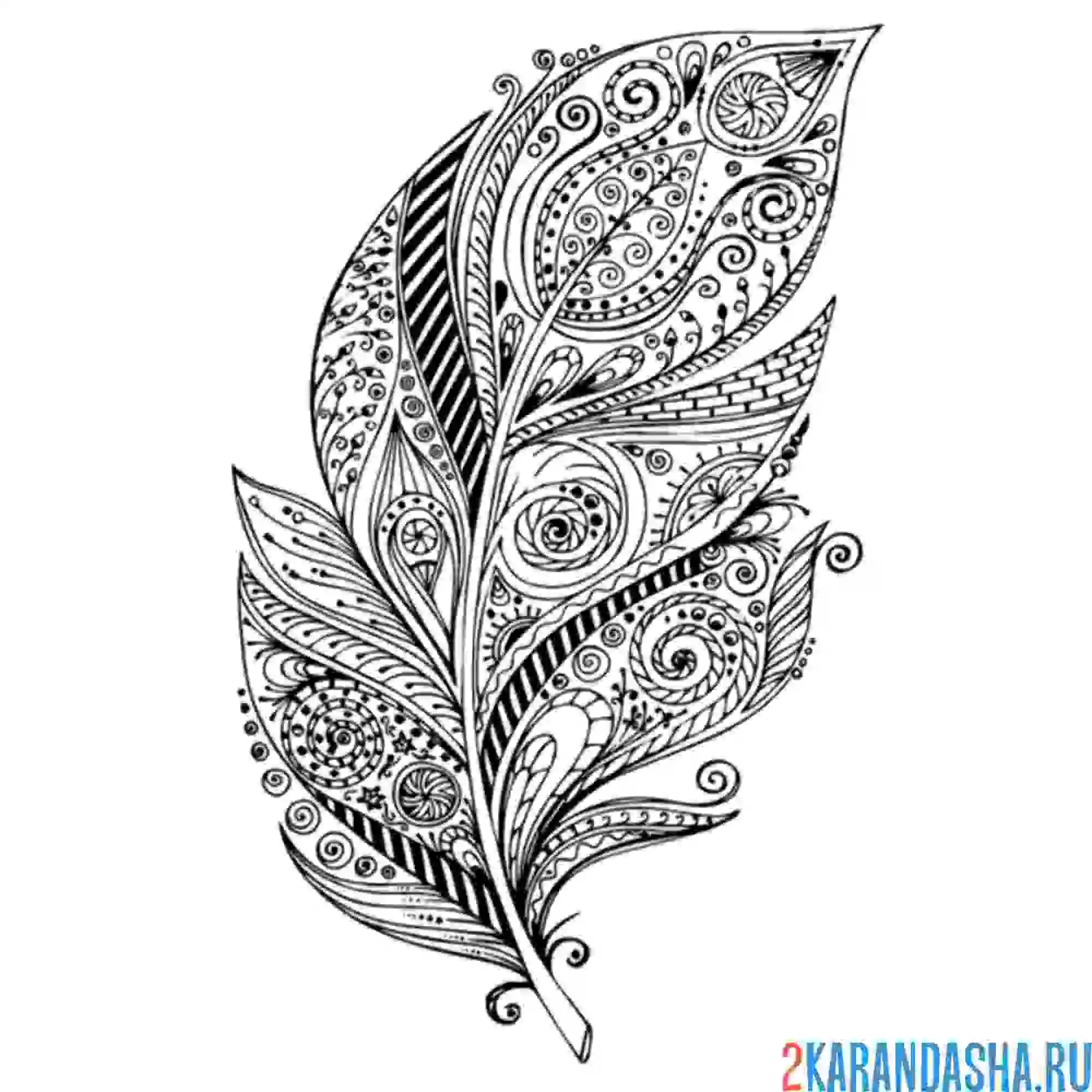 Раскраска перо арт-терапия