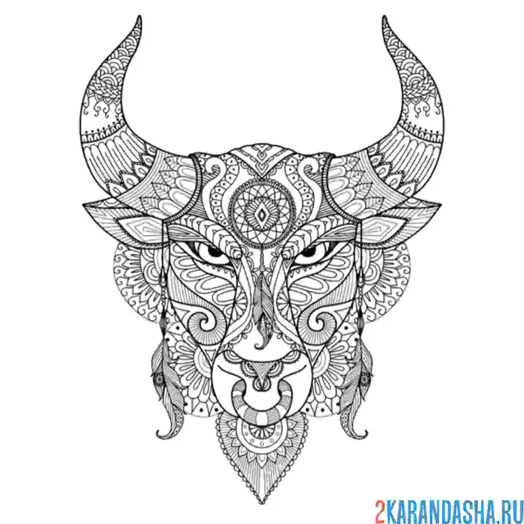 Раскраска бык арт-терапия
