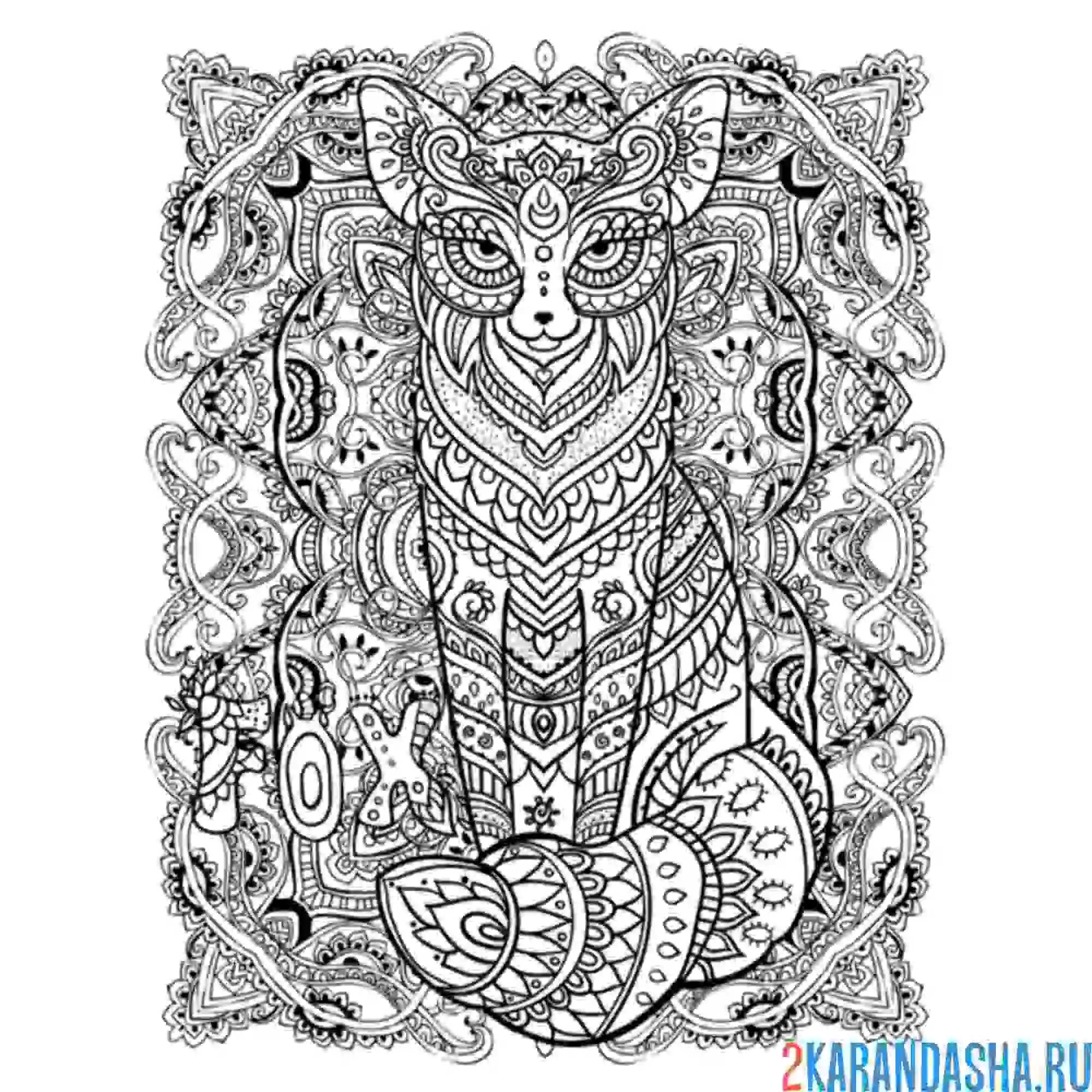 Раскраска кошечка арт