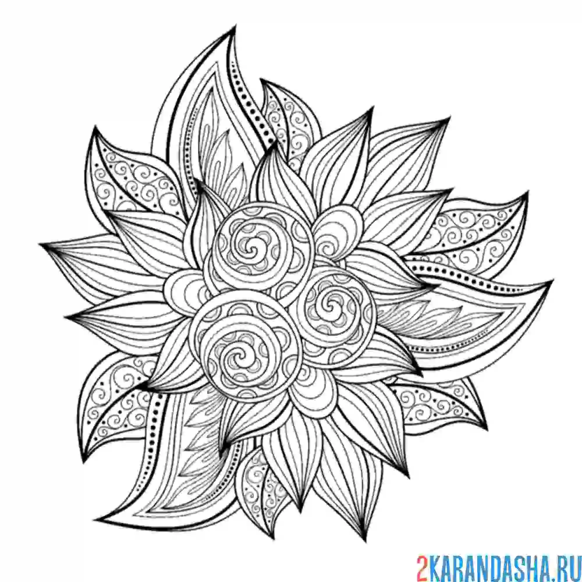 Раскраска цветы арт-терапия