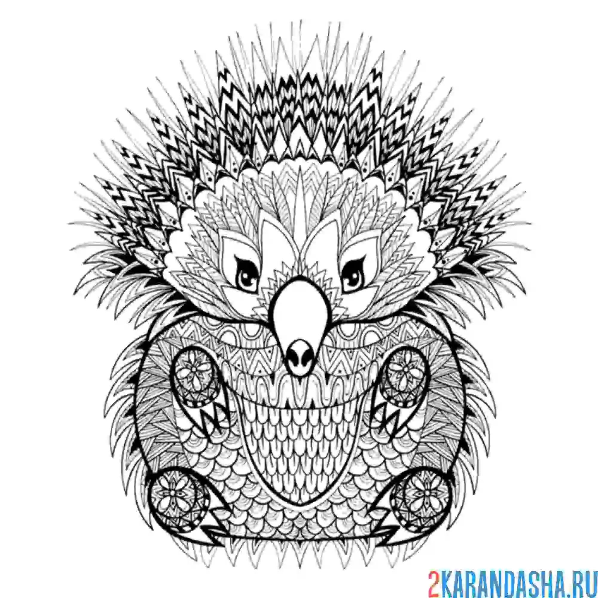 Раскраска дикобраз арт-терапия