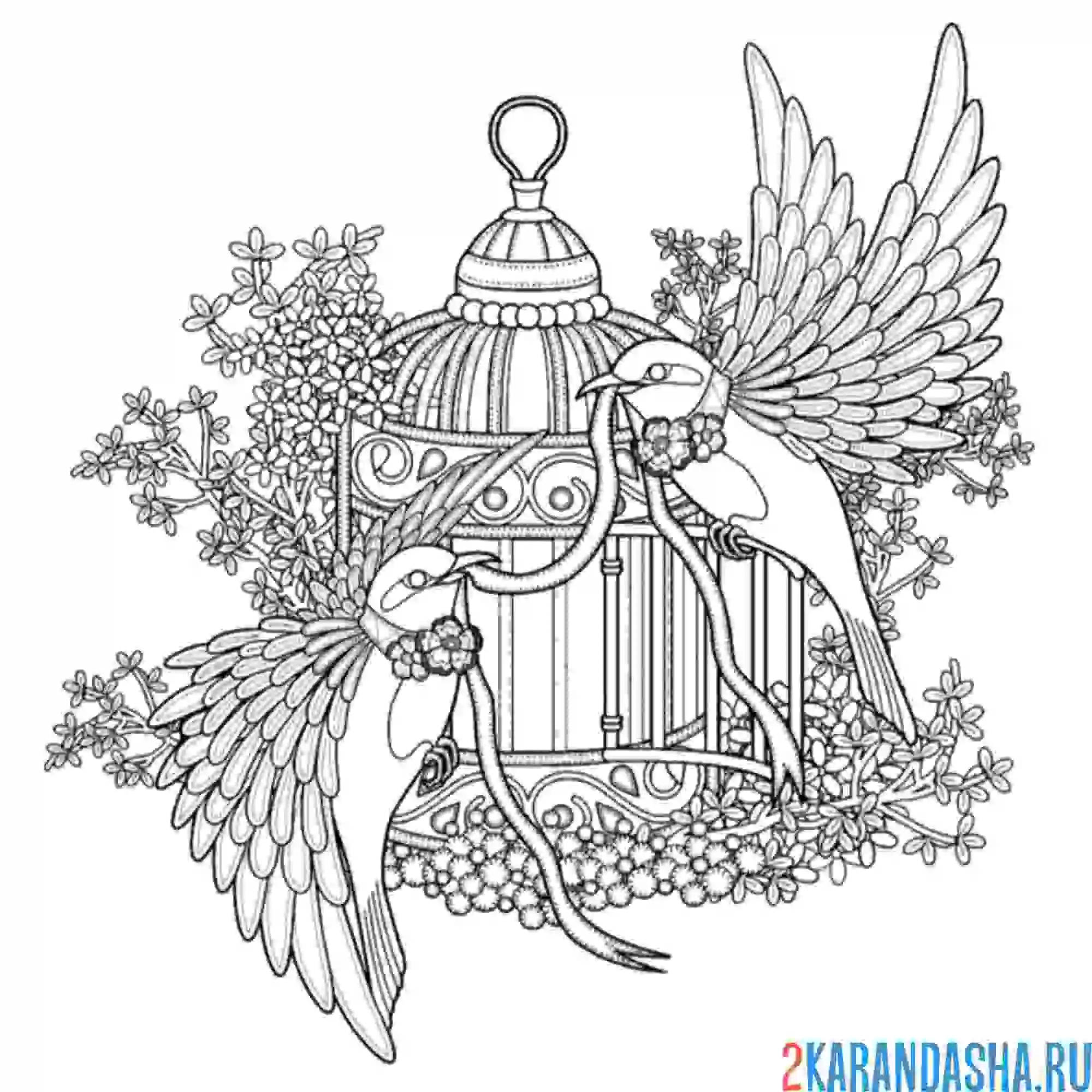 Раскраска птички в клетке арт-терапия