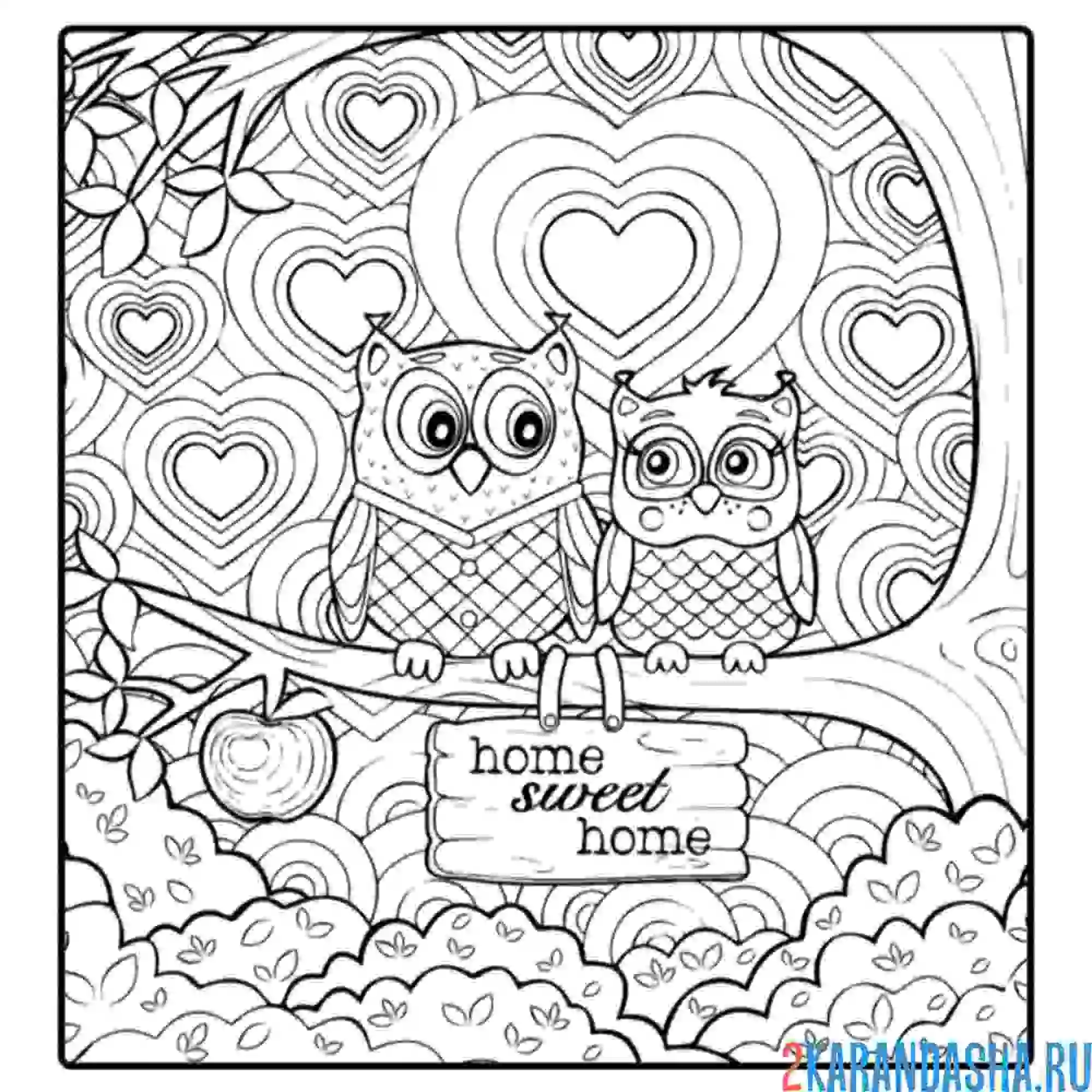 Раскраска две совы арт-терапия