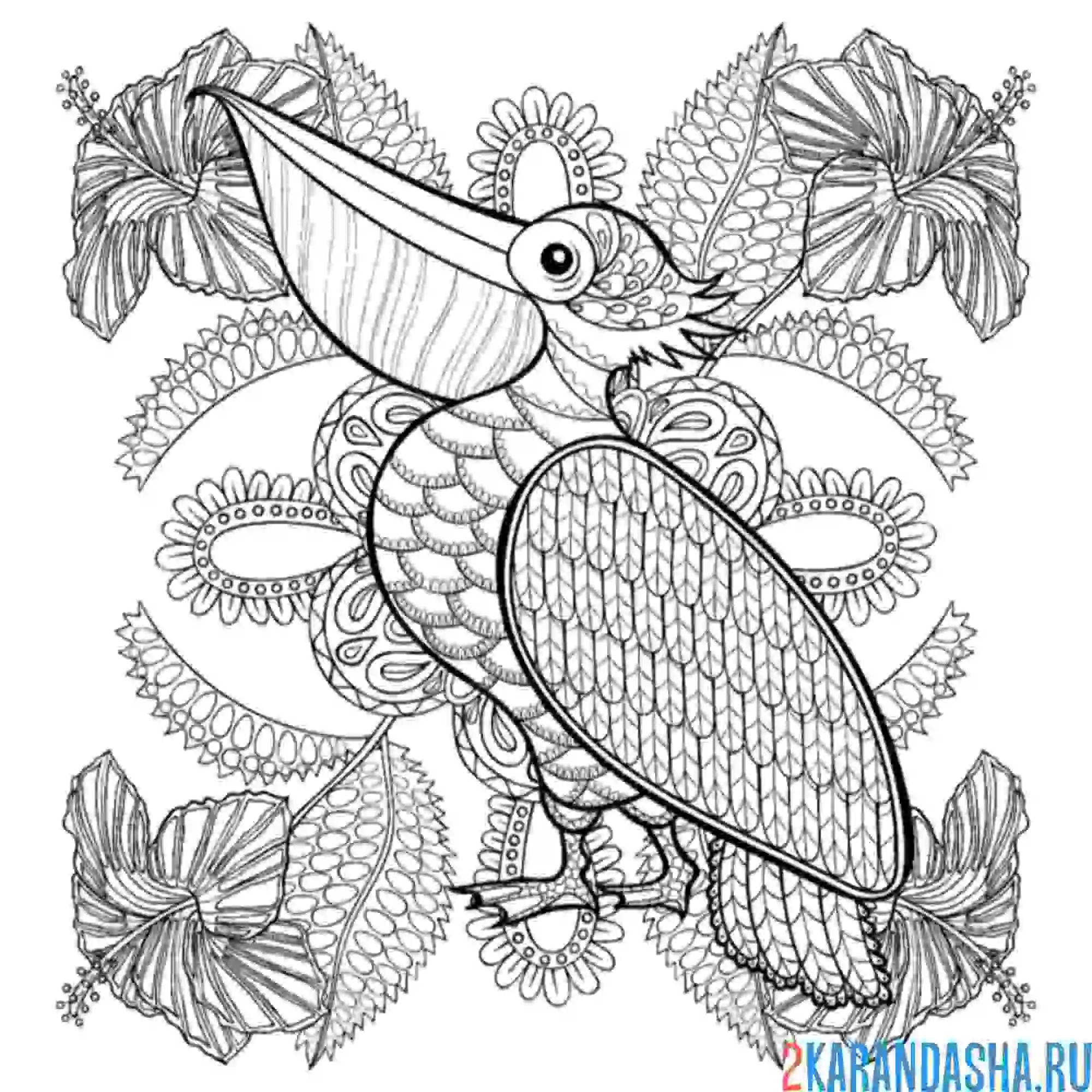 Раскраска пеликан арт-терапия